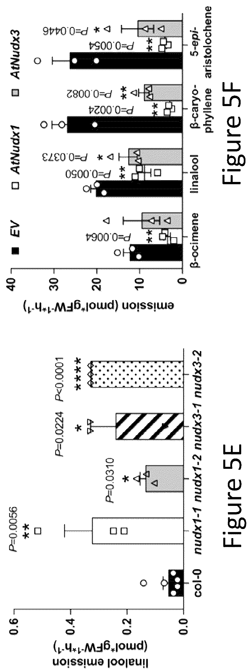 Patent US12305177 Figure 9 – Methods and platforms for sustainable high yield terpenoid production