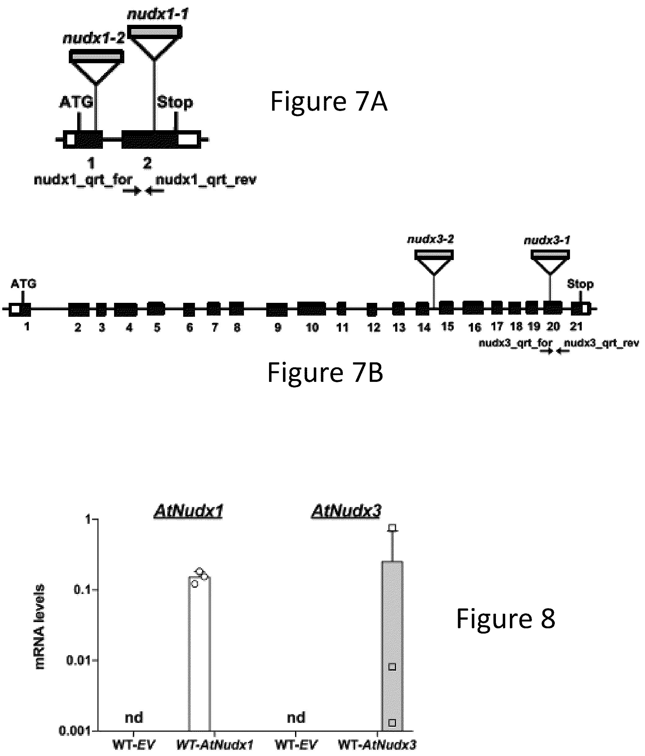 Patent US12305177 Figure 11 – Methods and platforms for sustainable high yield terpenoid production