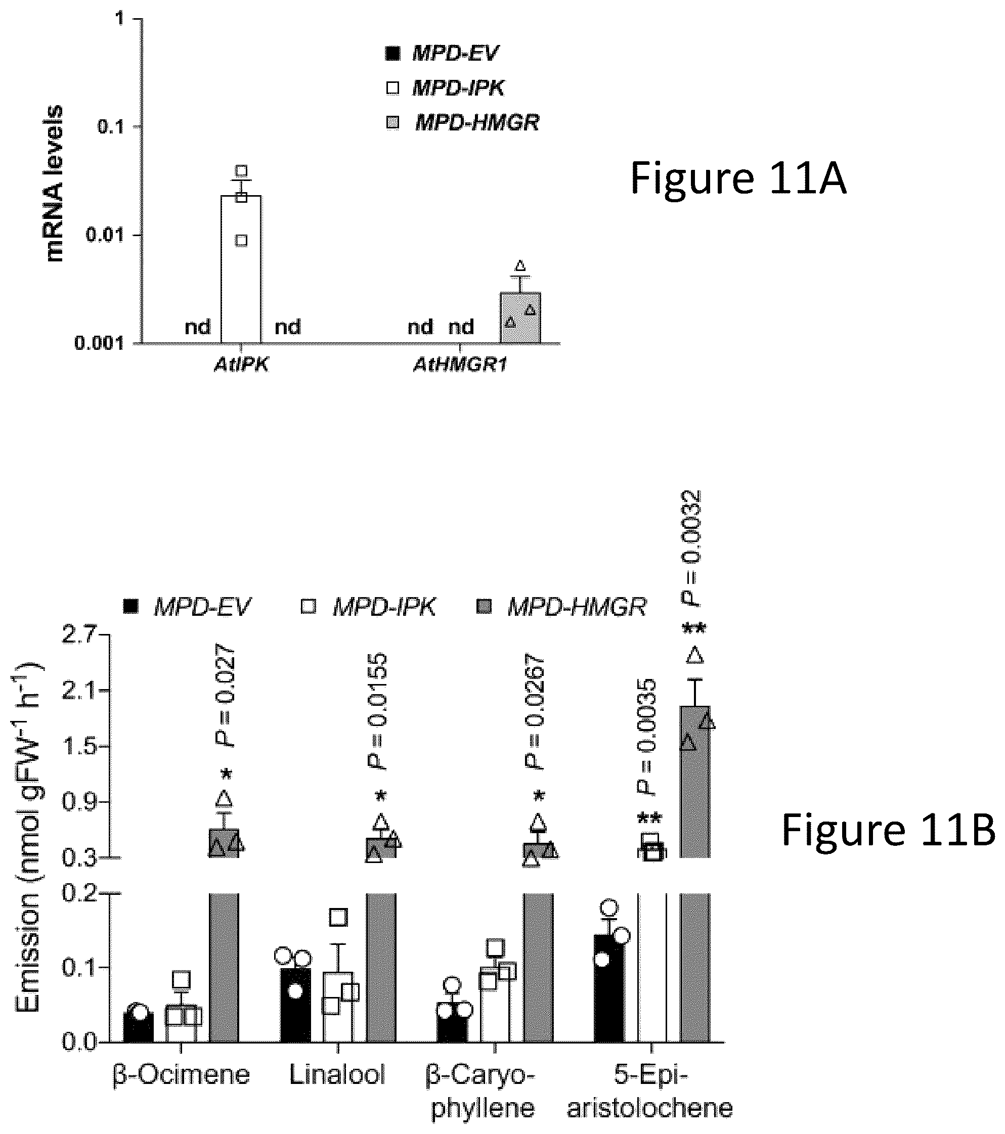 Patent US12305177 Figure 15 – Methods and platforms for sustainable high yield terpenoid production
