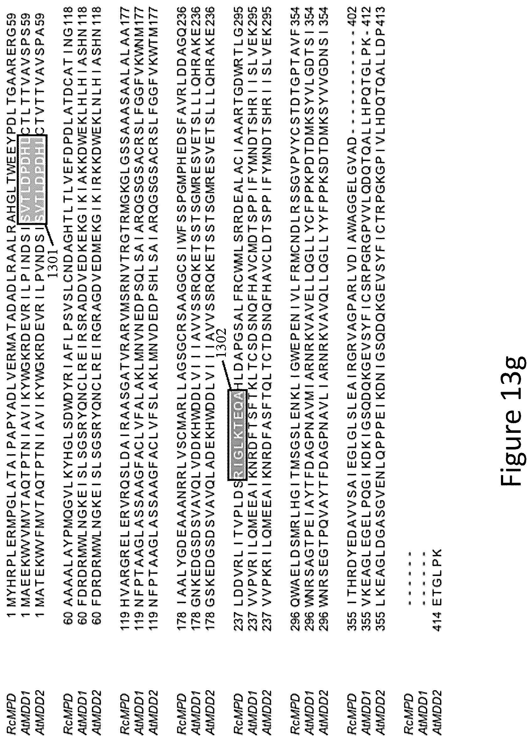 Patent US12305177 Figure 18 – Methods and platforms for sustainable high yield terpenoid production