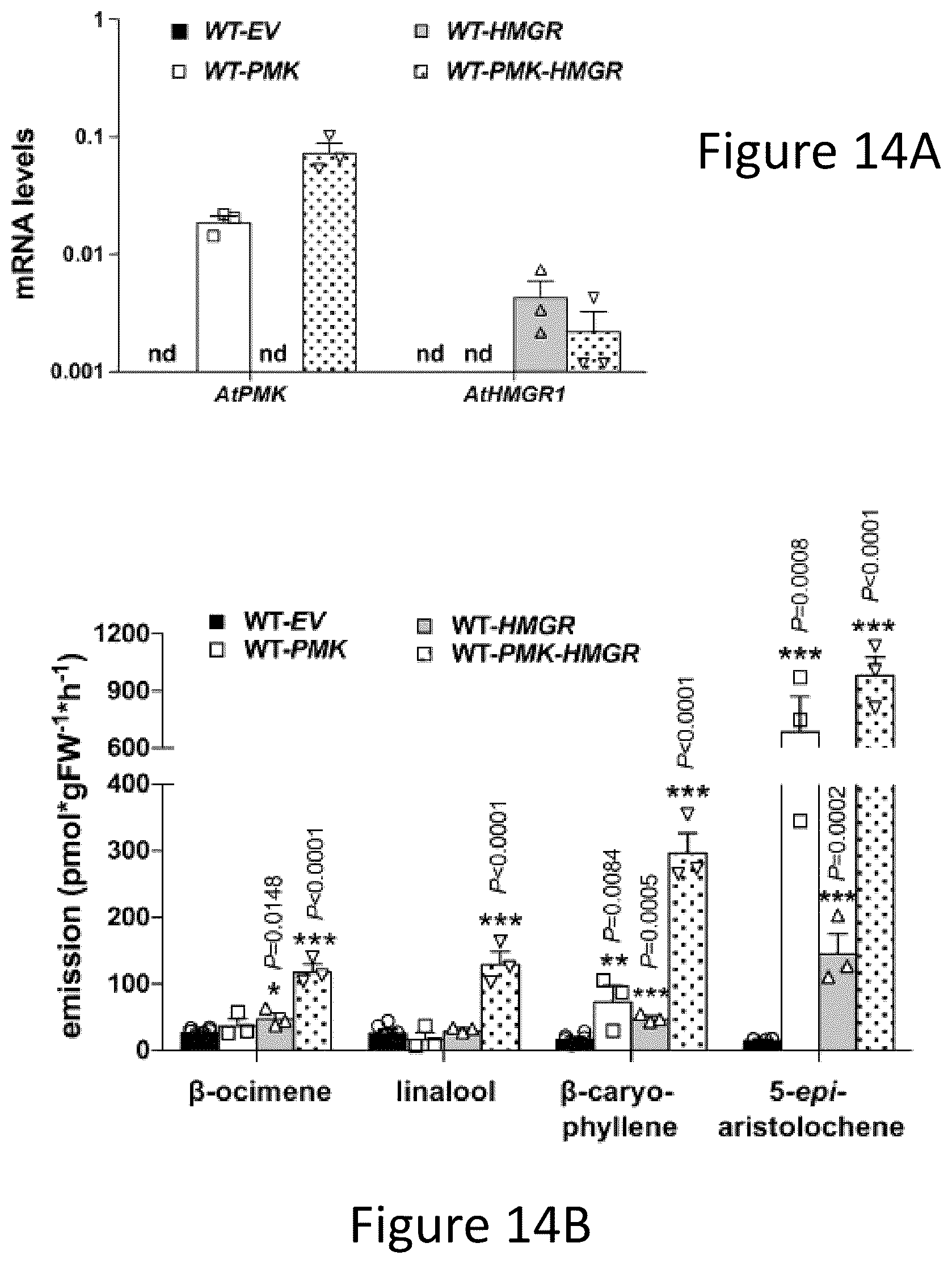 Patent US12305177 Figure 19 – Methods and platforms for sustainable high yield terpenoid production