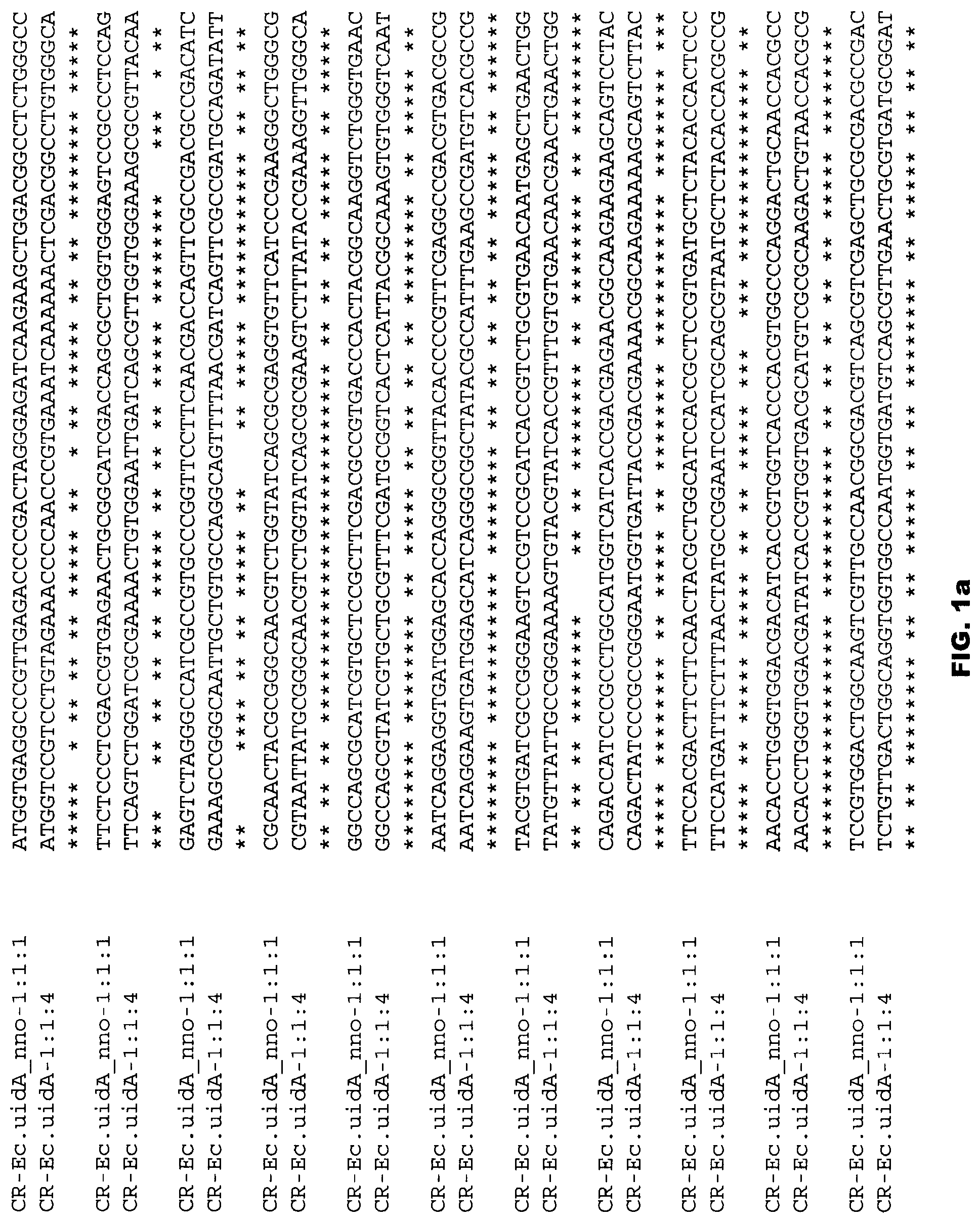 Patent US12305178 Figure 1 – Plant regulatory elements and uses thereof