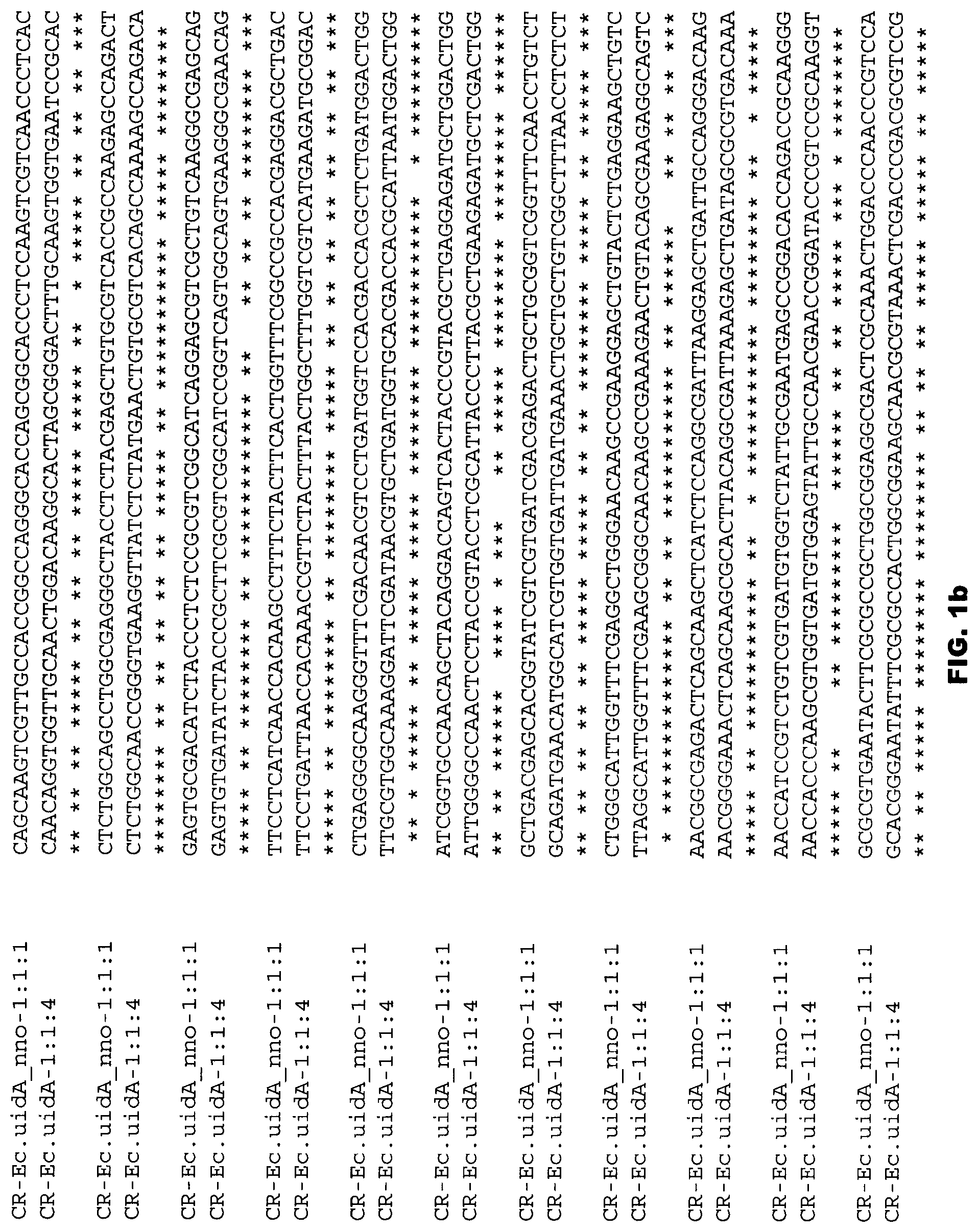Patent US12305178 Figure 2 – Plant regulatory elements and uses thereof