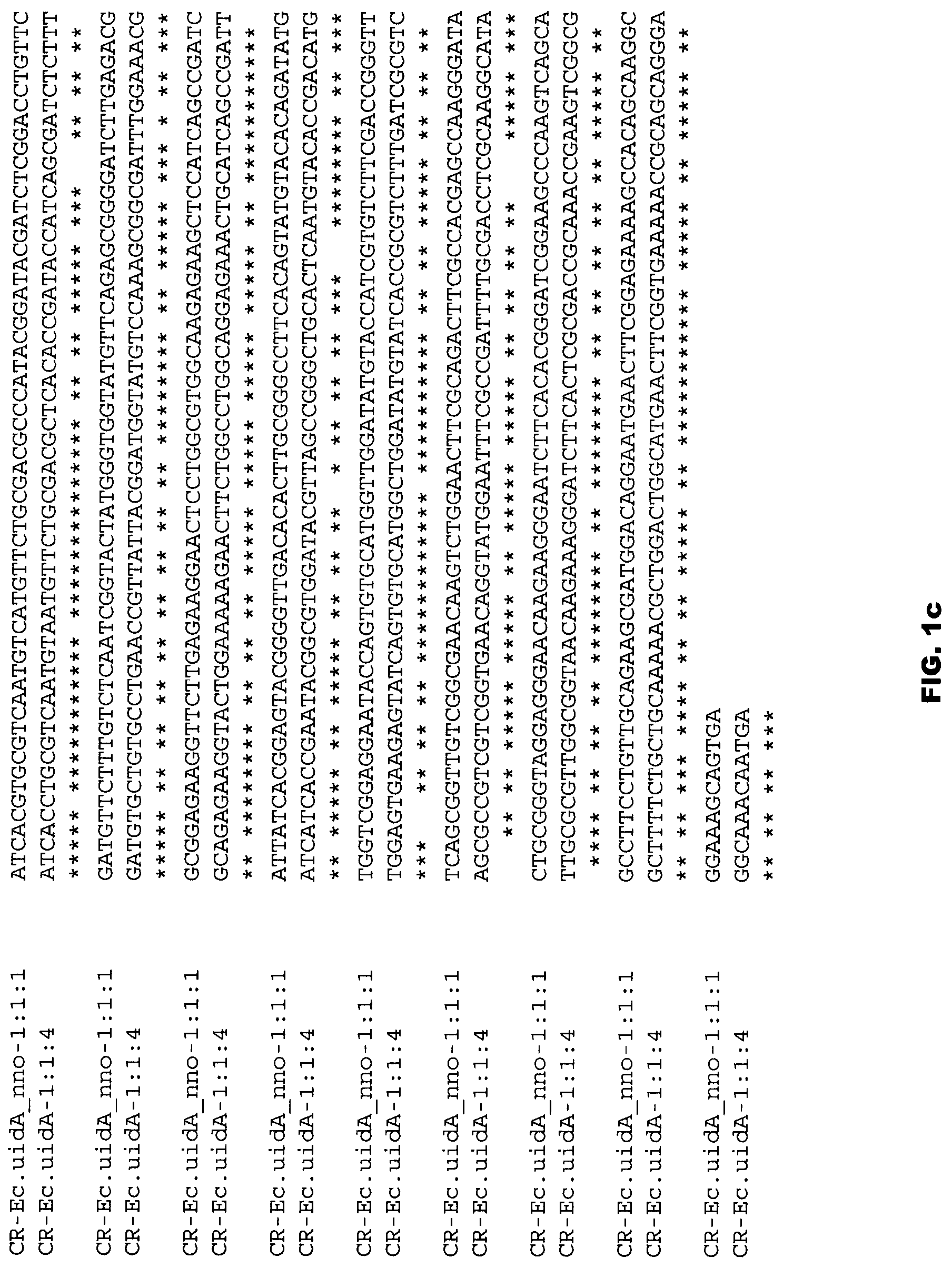 Patent US12305178 Figure 3 – Plant regulatory elements and uses thereof