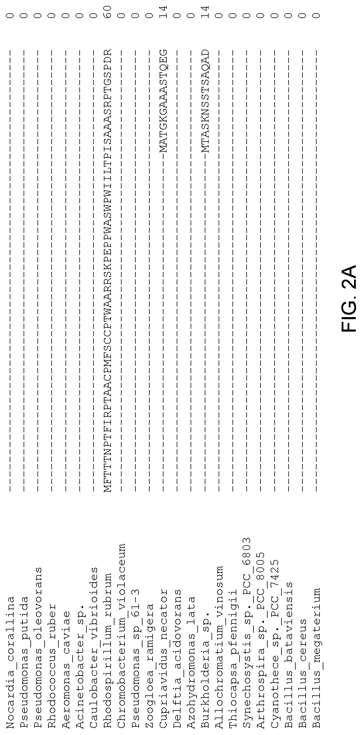 Patent US12305179 Figure 2 – Transgenic land plants that express a polyhydroxyalkanoate synthase seed specifically with cytosolic localization