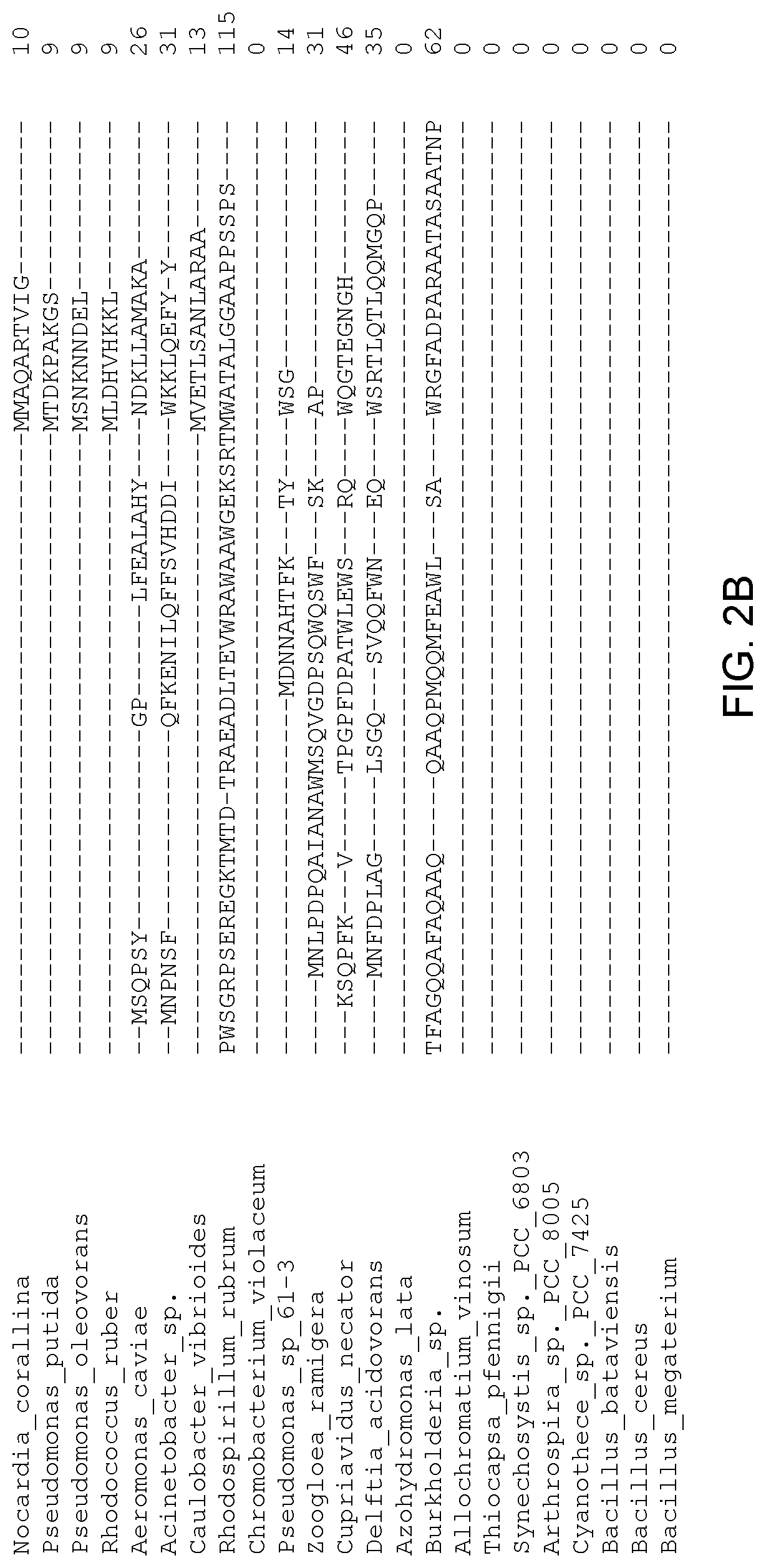 Patent US12305179 Figure 3 – Transgenic land plants that express a polyhydroxyalkanoate synthase seed specifically with cytosolic localization
