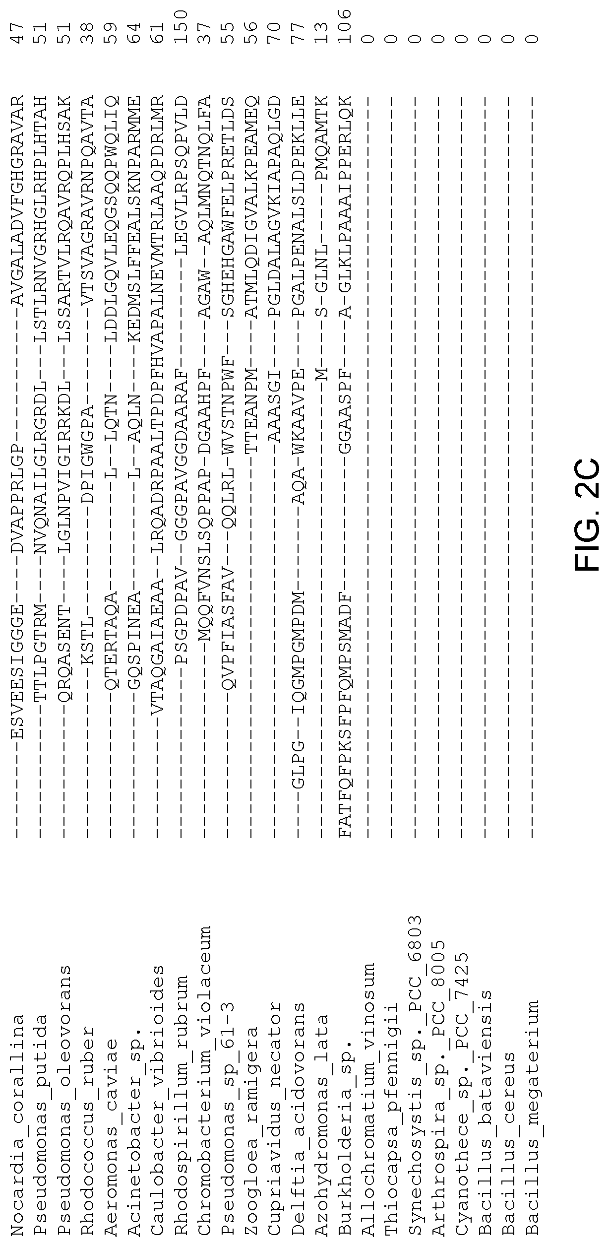 Patent US12305179 Figure 4 – Transgenic land plants that express a polyhydroxyalkanoate synthase seed specifically with cytosolic localization