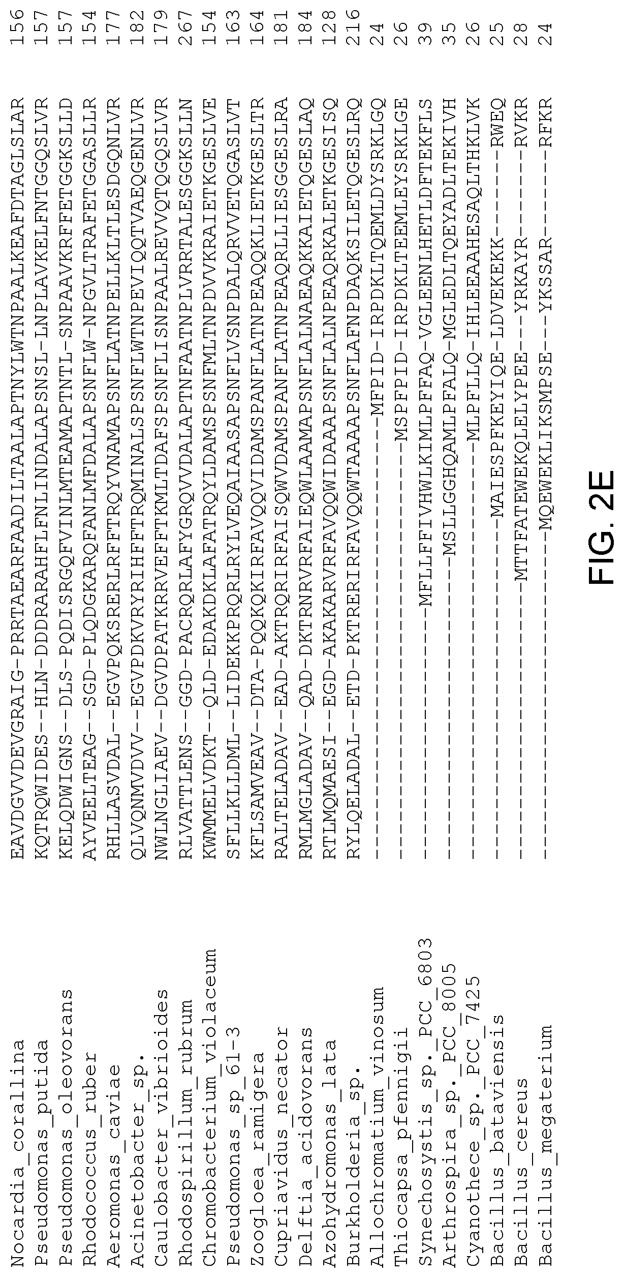 Patent US12305179 Figure 6 – Transgenic land plants that express a polyhydroxyalkanoate synthase seed specifically with cytosolic localization