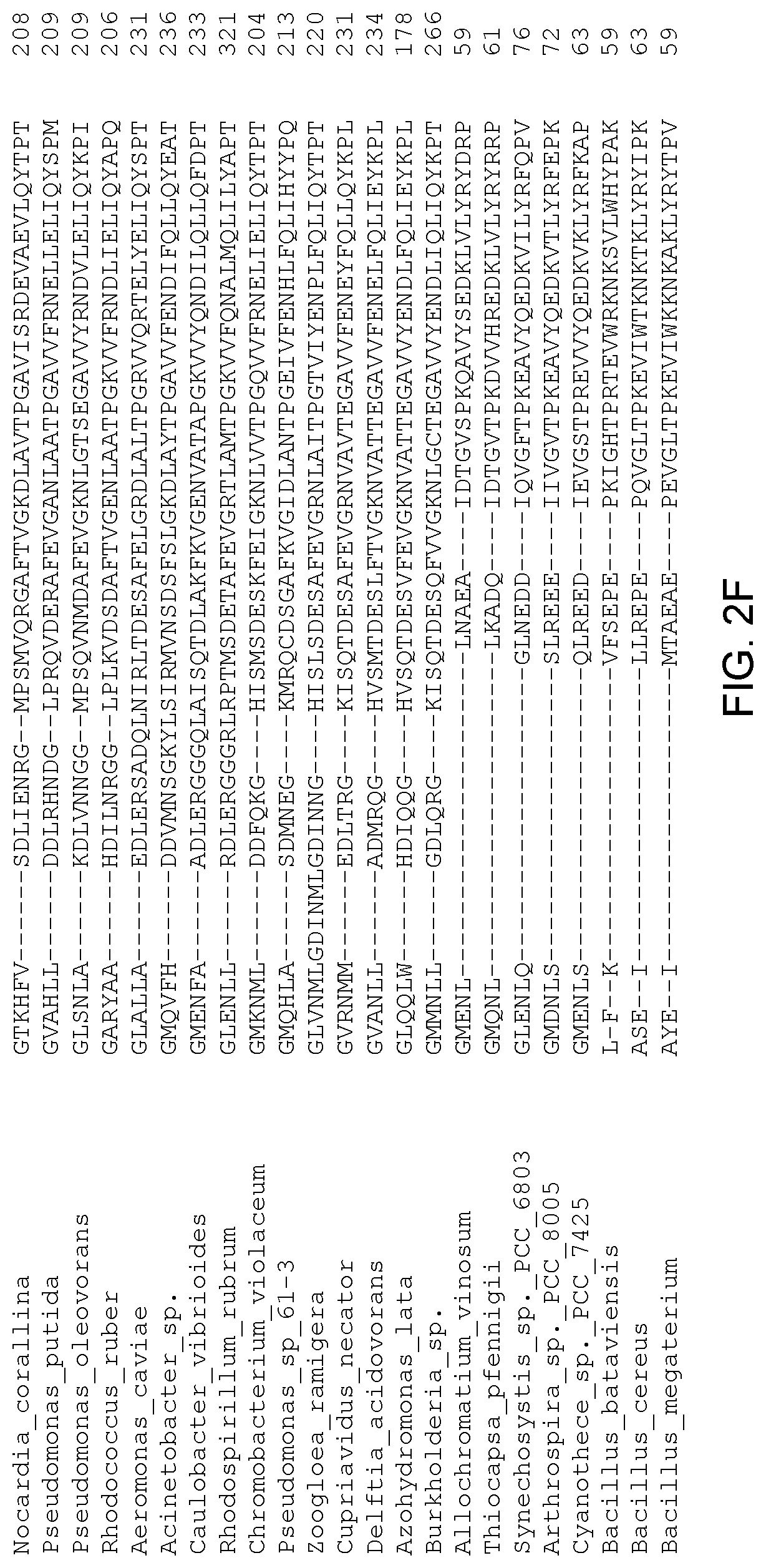 Patent US12305179 Figure 7 – Transgenic land plants that express a polyhydroxyalkanoate synthase seed specifically with cytosolic localization