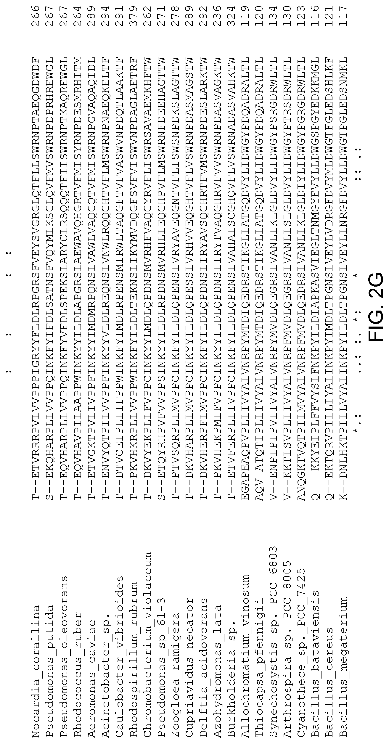 Patent US12305179 Figure 8 – Transgenic land plants that express a polyhydroxyalkanoate synthase seed specifically with cytosolic localization