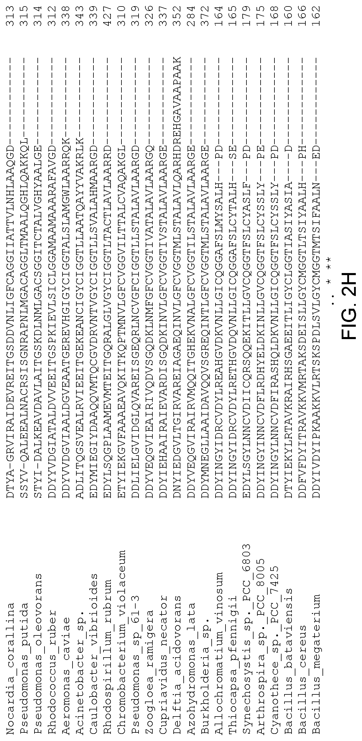 Patent US12305179 Figure 9 – Transgenic land plants that express a polyhydroxyalkanoate synthase seed specifically with cytosolic localization