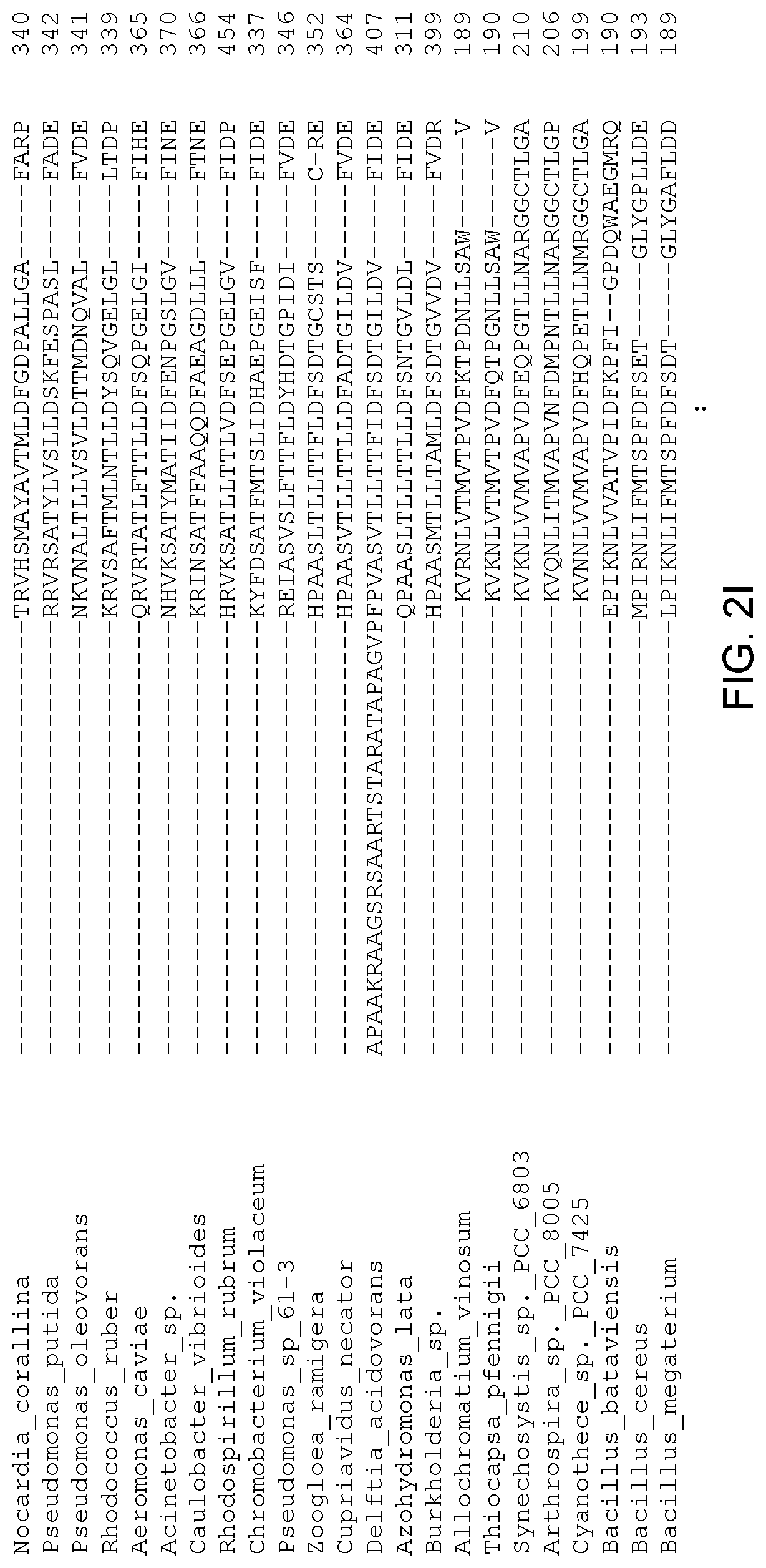 Patent US12305179 Figure 10 – Transgenic land plants that express a polyhydroxyalkanoate synthase seed specifically with cytosolic localization