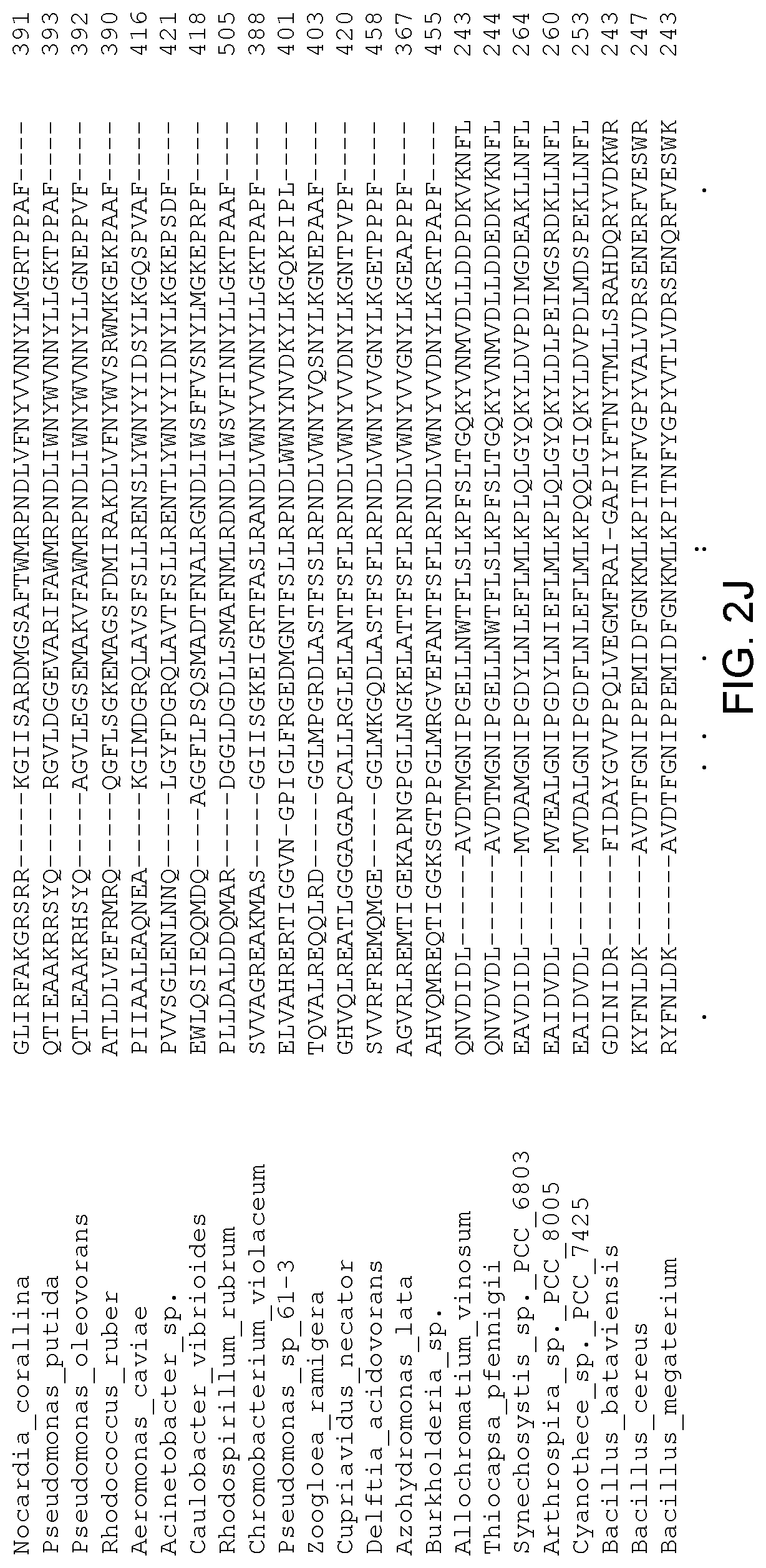 Patent US12305179 Figure 11 – Transgenic land plants that express a polyhydroxyalkanoate synthase seed specifically with cytosolic localization