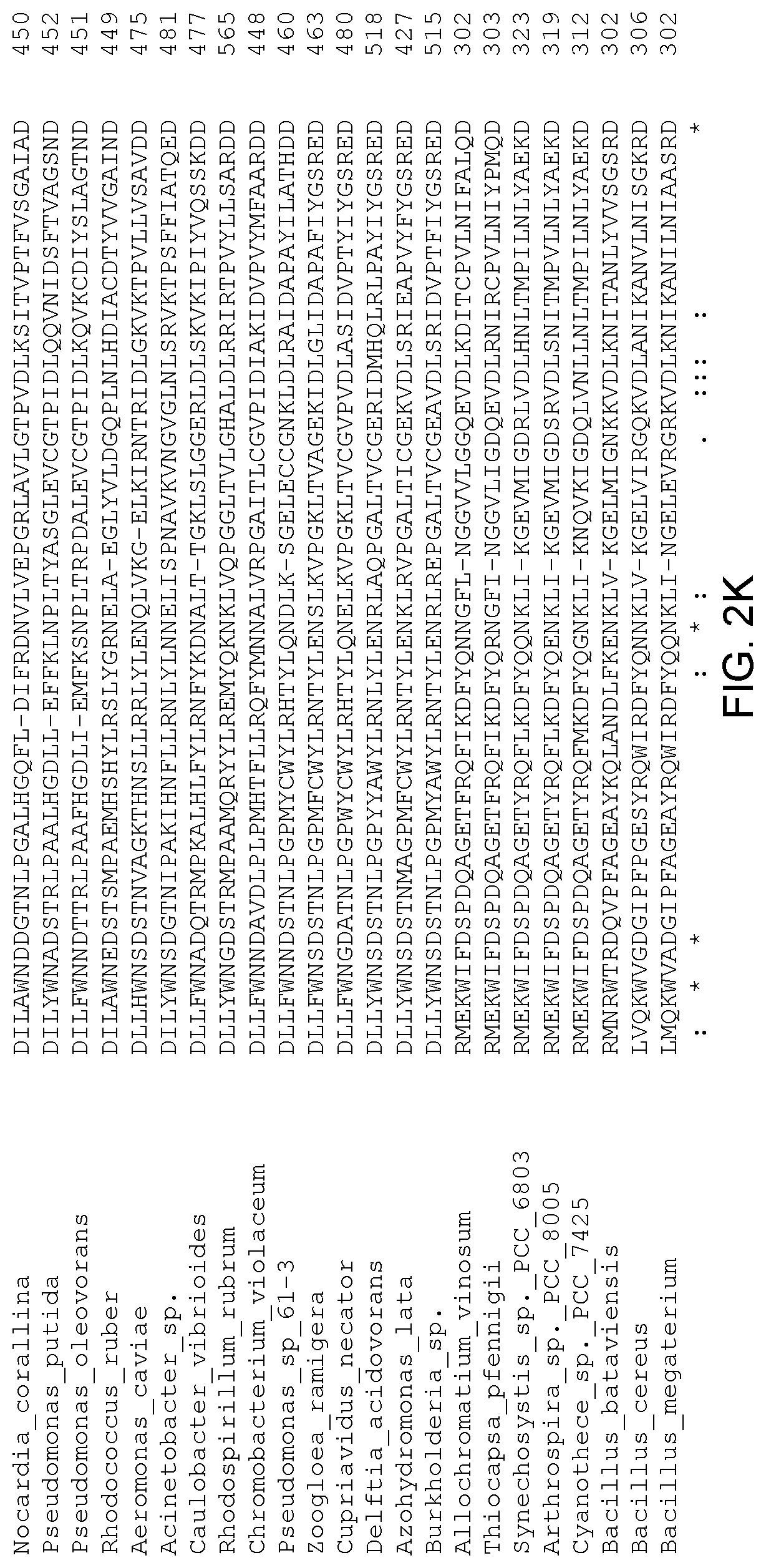 Patent US12305179 Figure 12 – Transgenic land plants that express a polyhydroxyalkanoate synthase seed specifically with cytosolic localization