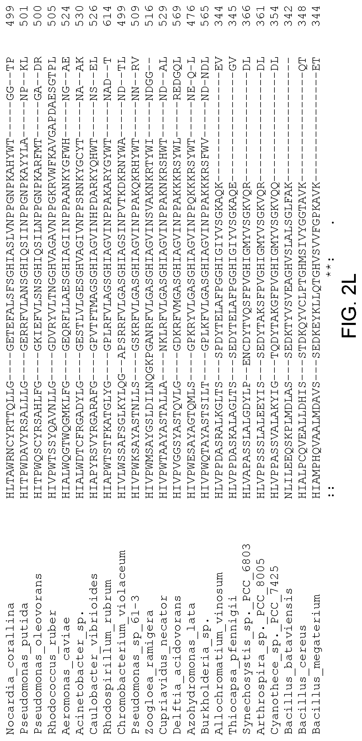 Patent US12305179 Figure 13 – Transgenic land plants that express a polyhydroxyalkanoate synthase seed specifically with cytosolic localization