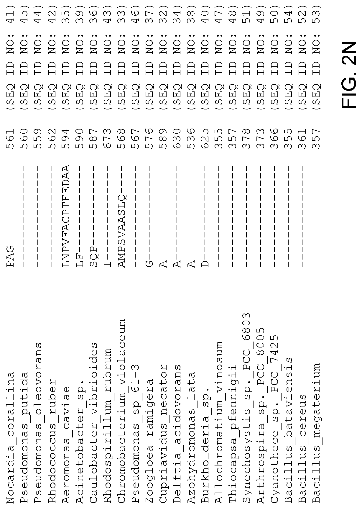 Patent US12305179 Figure 15 – Transgenic land plants that express a polyhydroxyalkanoate synthase seed specifically with cytosolic localization