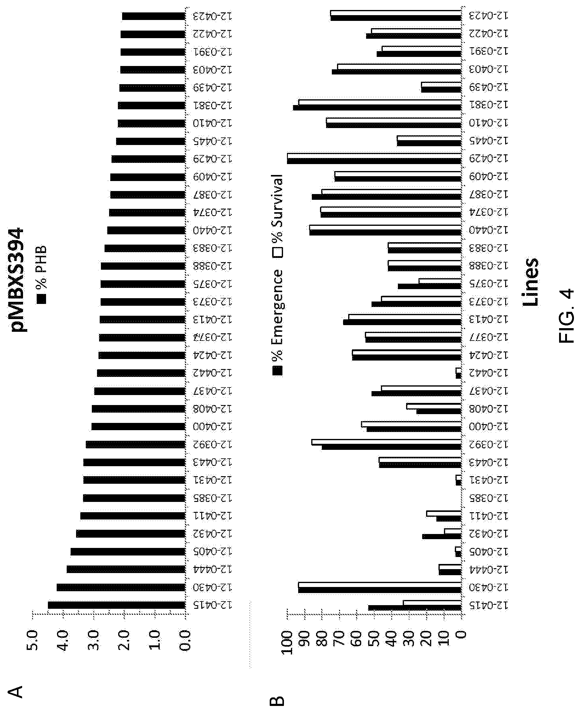 Patent US12305179 Figure 17 – Transgenic land plants that express a polyhydroxyalkanoate synthase seed specifically with cytosolic localization
