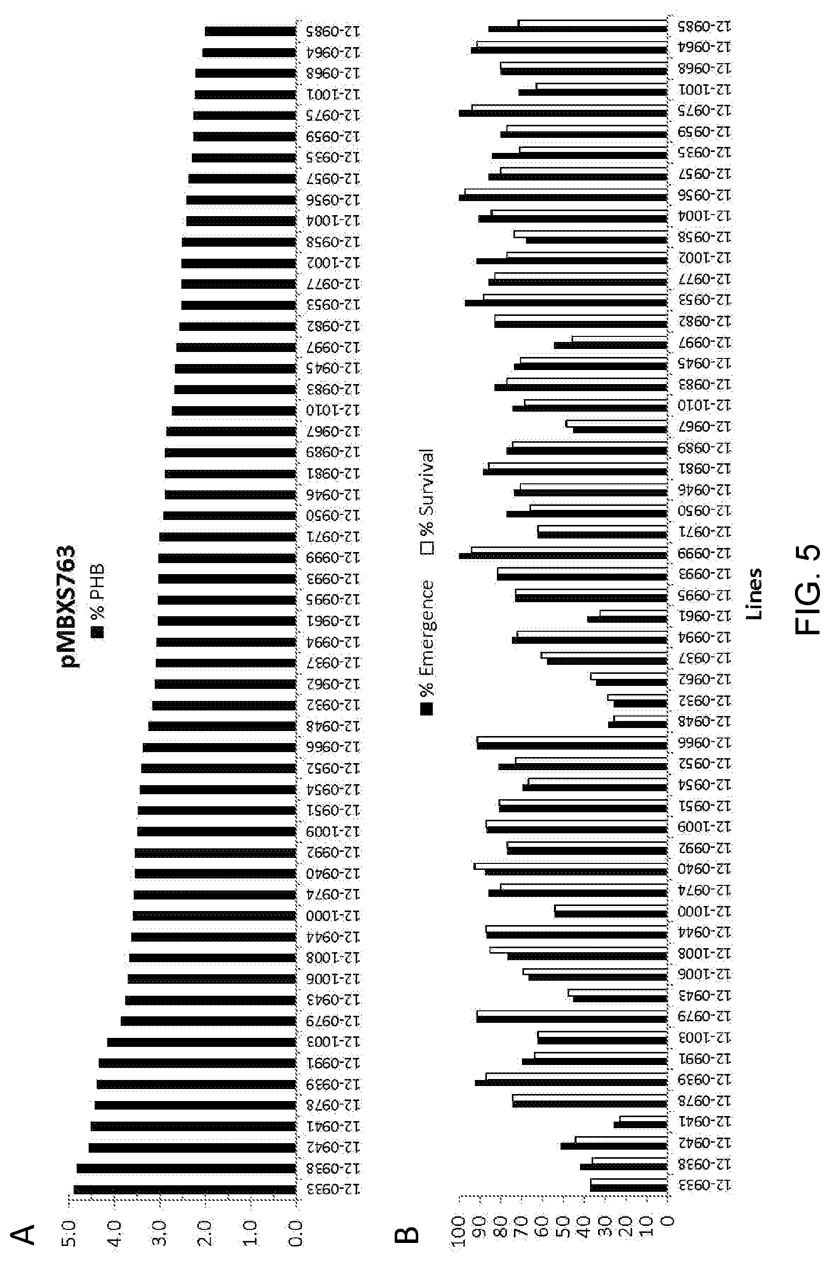 Patent US12305179 Figure 18 – Transgenic land plants that express a polyhydroxyalkanoate synthase seed specifically with cytosolic localization