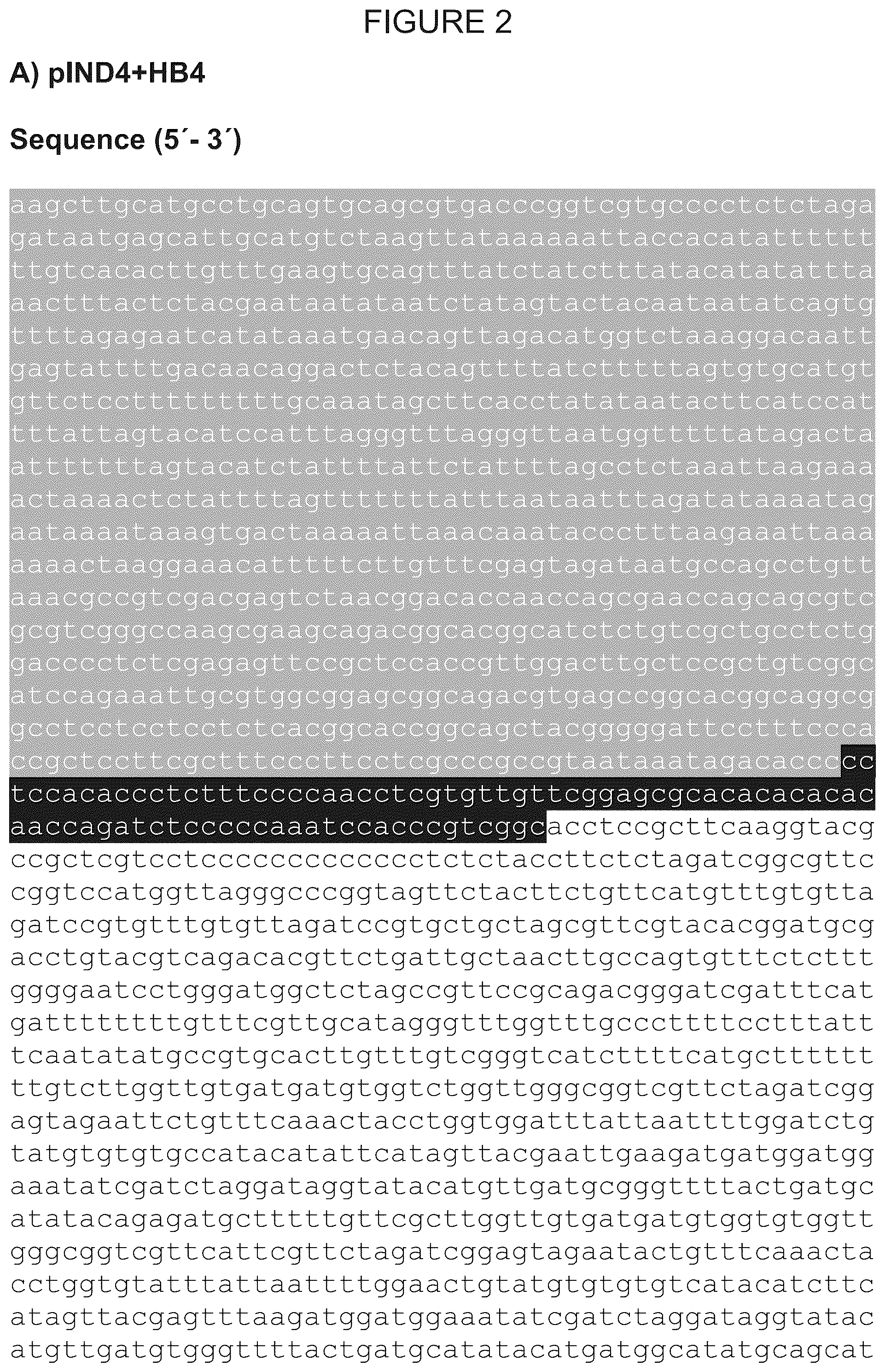 Patent US12305180 Figure 2 – Wheat transgenic event IND-øø412-7