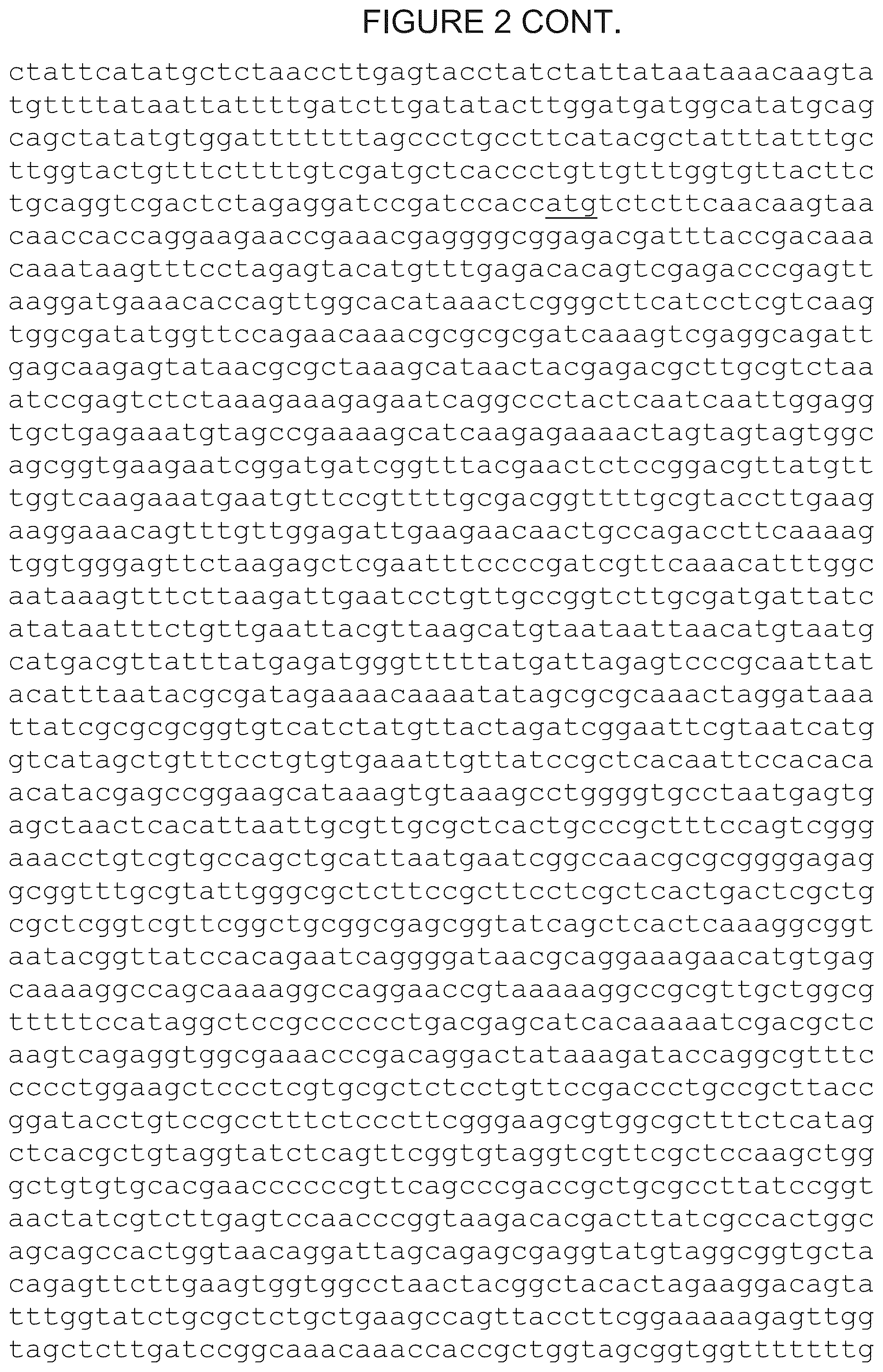 Patent US12305180 Figure 3 – Wheat transgenic event IND-øø412-7