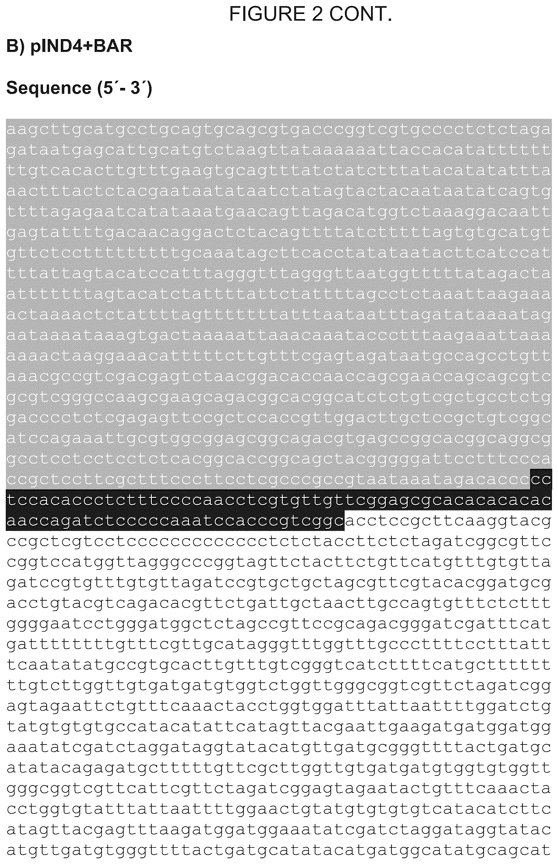 Patent US12305180 Figure 5 – Wheat transgenic event IND-øø412-7