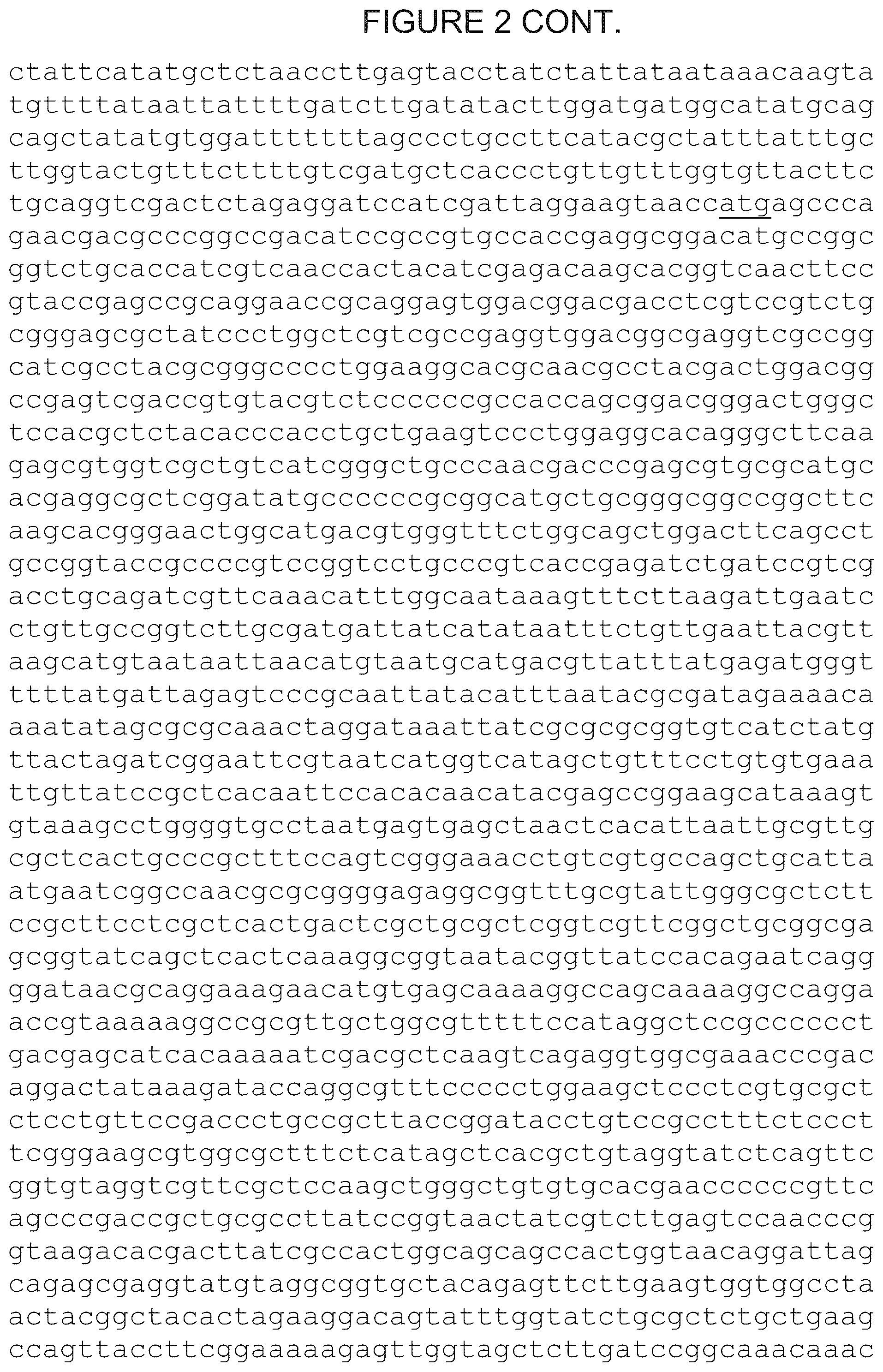 Patent US12305180 Figure 6 – Wheat transgenic event IND-øø412-7