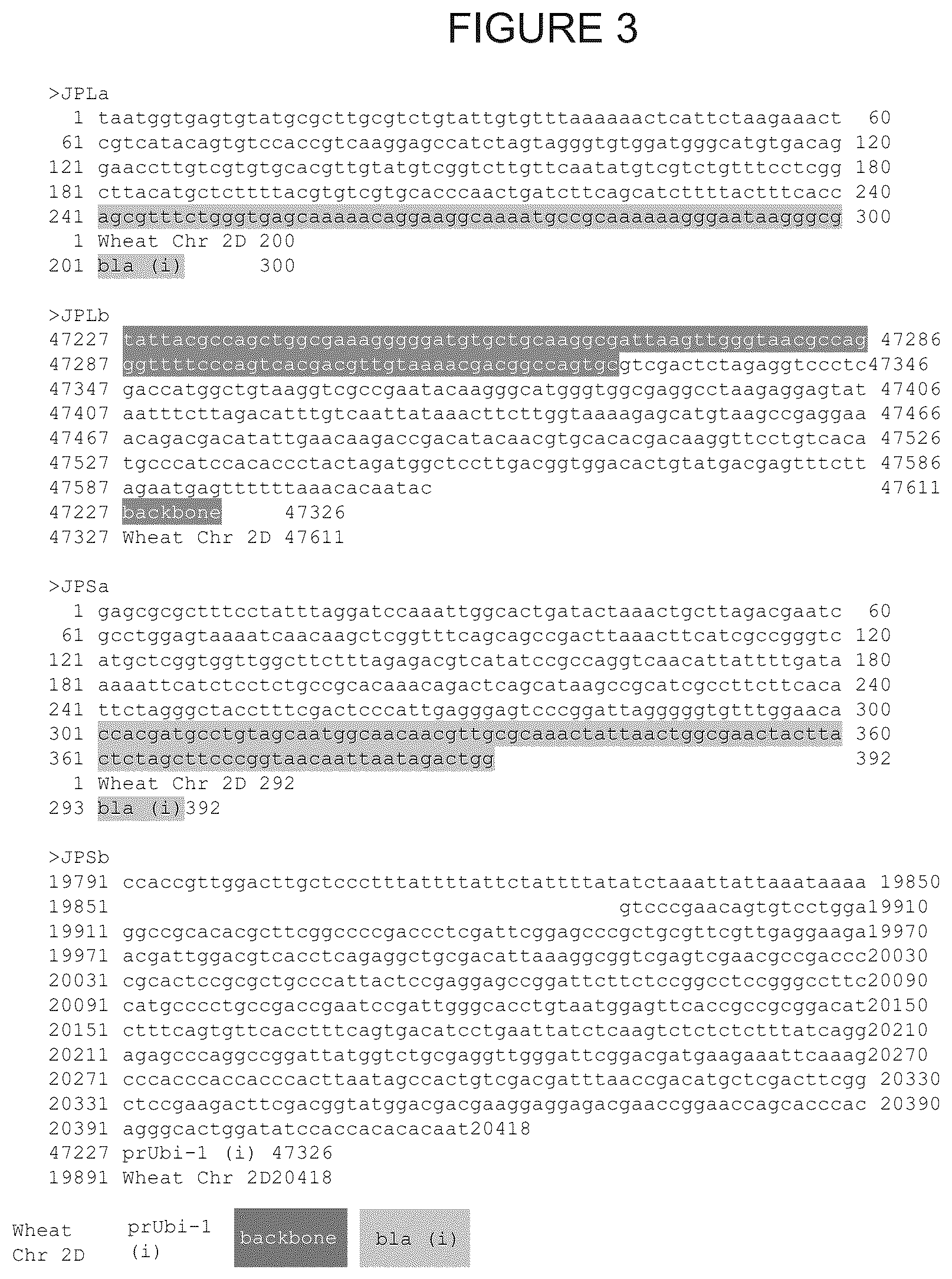 Patent US12305180 Figure 8 – Wheat transgenic event IND-øø412-7