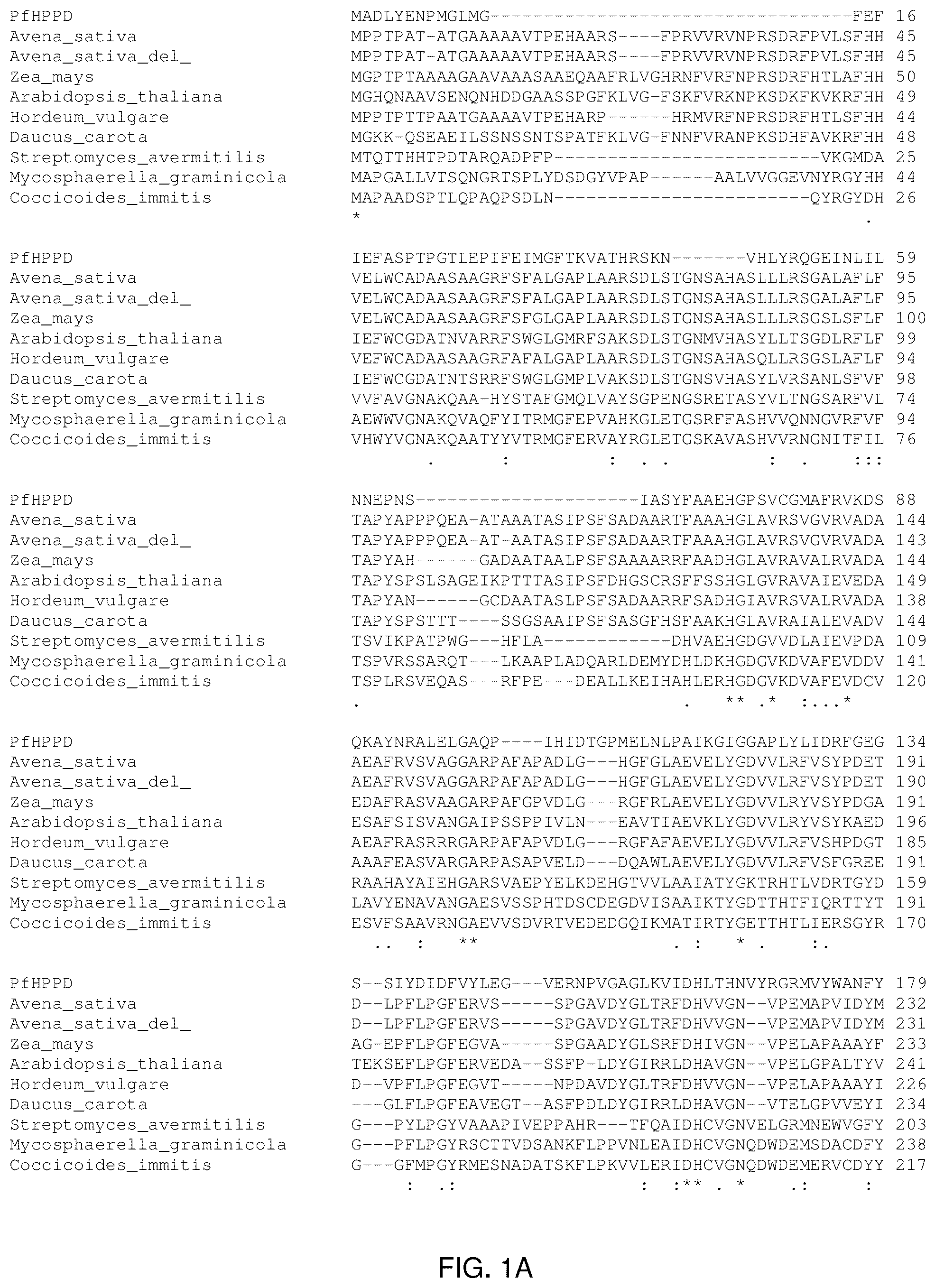 Patent US12305181 Figure 1 – HPPD variants and methods of use