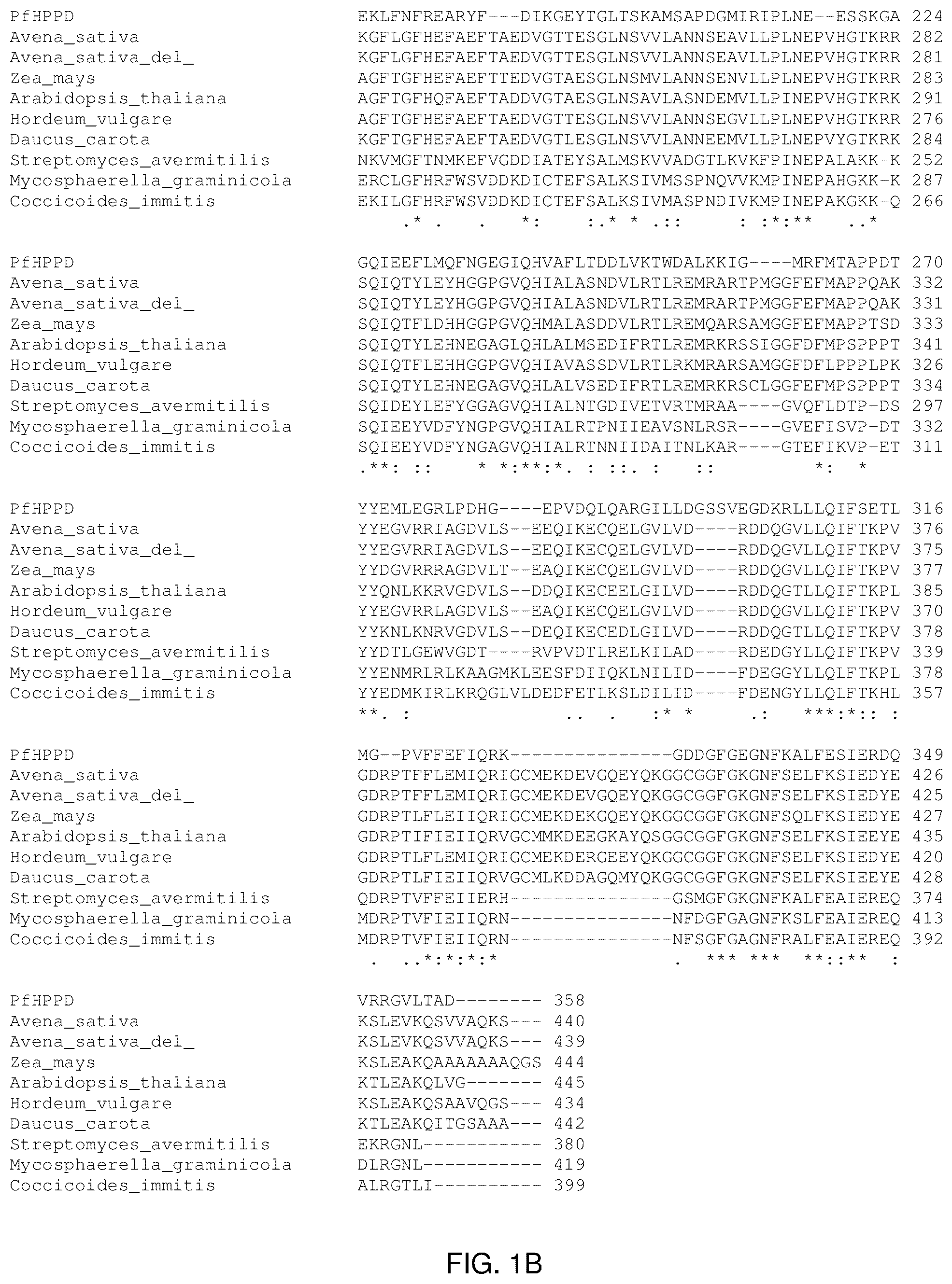Patent US12305181 Figure 2 – HPPD variants and methods of use