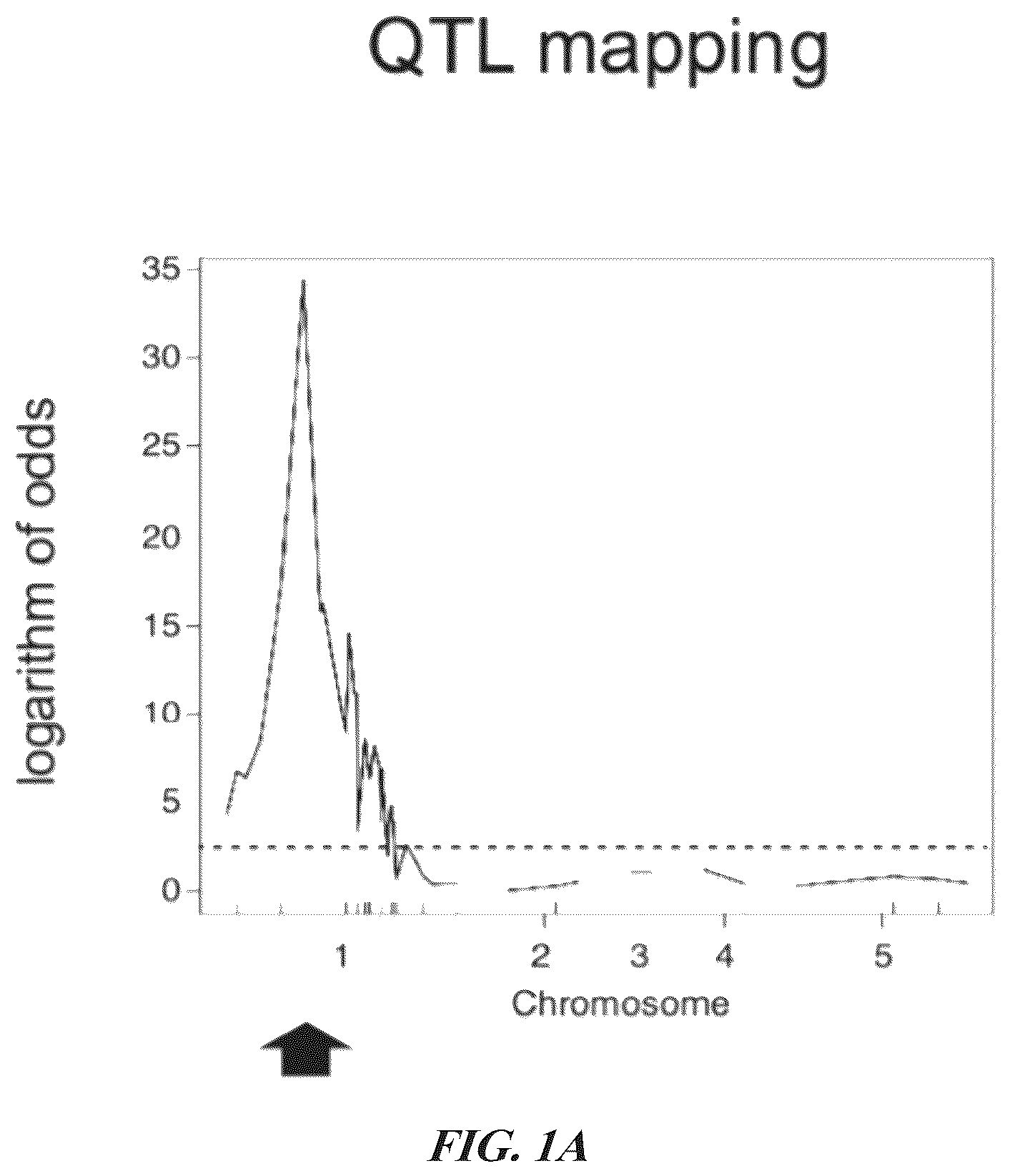 Patent US12305184 Figure 1 – Compositions and methods for conferring resistance to geminivirus
