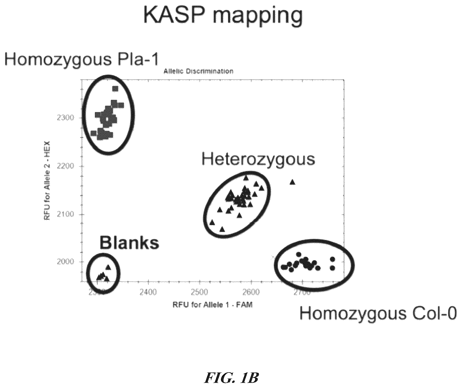 Patent US12305184 Figure 2 – Compositions and methods for conferring resistance to geminivirus