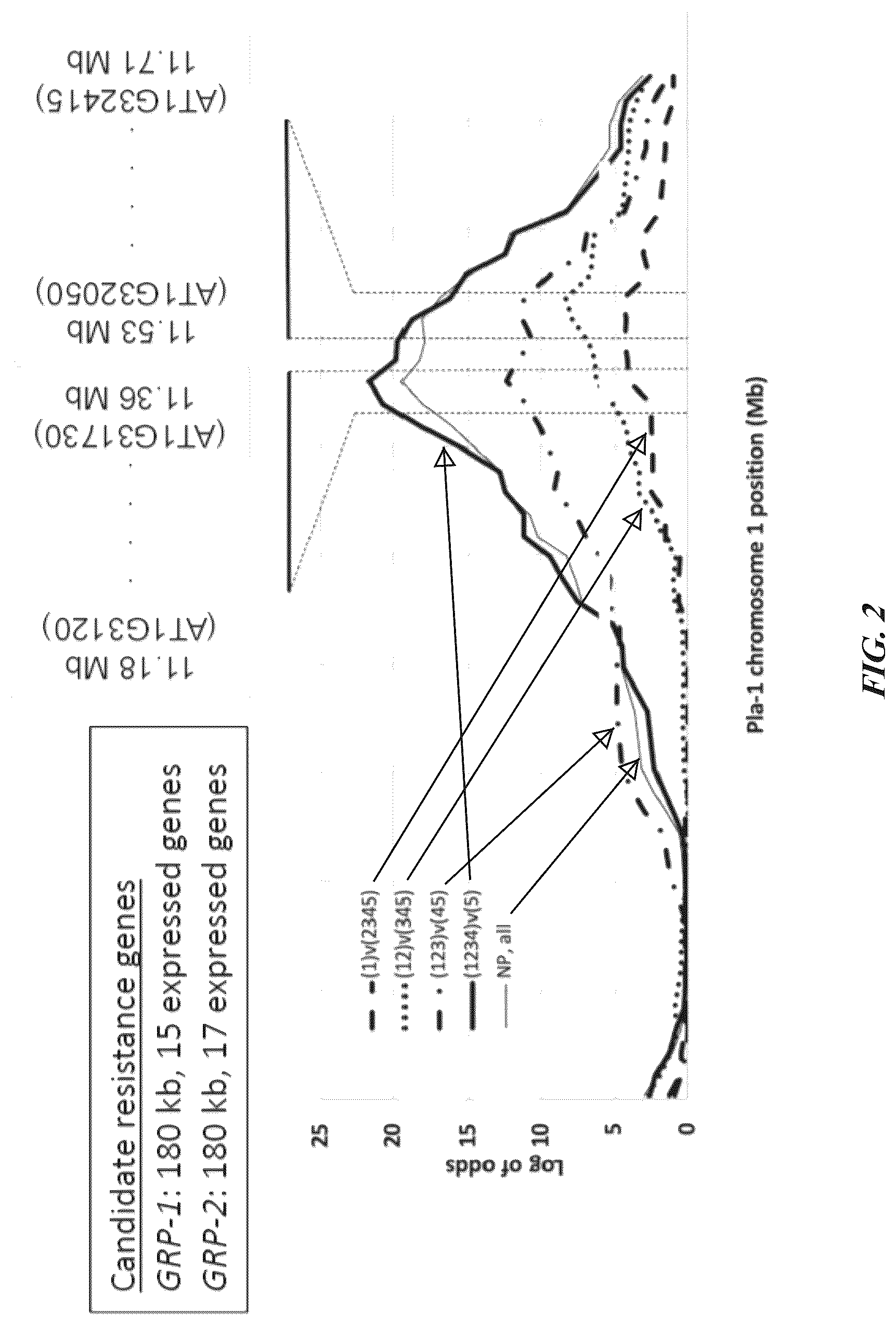 Patent US12305184 Figure 3 – Compositions and methods for conferring resistance to geminivirus