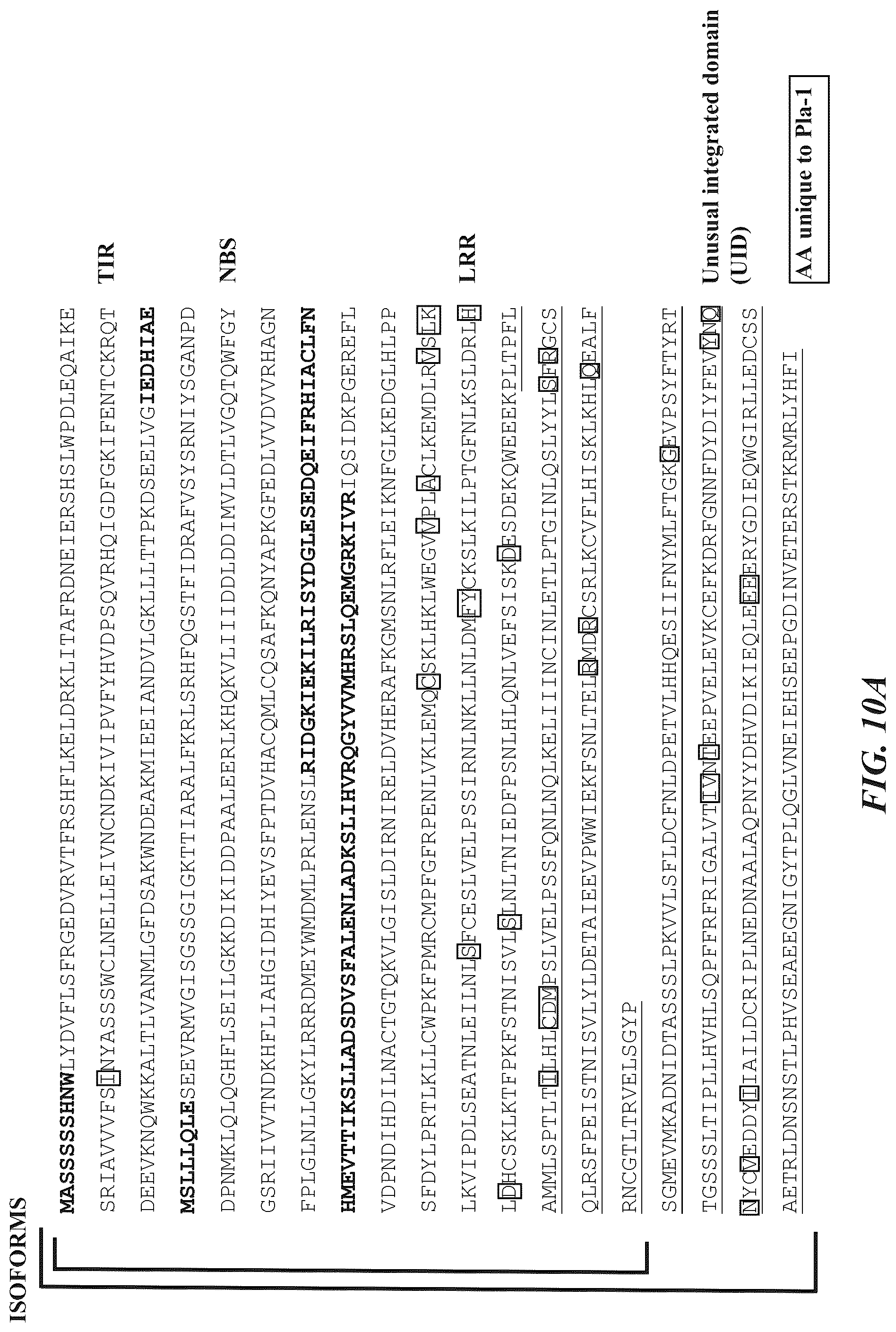 Patent US12305184 Figure 11 – Compositions and methods for conferring resistance to geminivirus