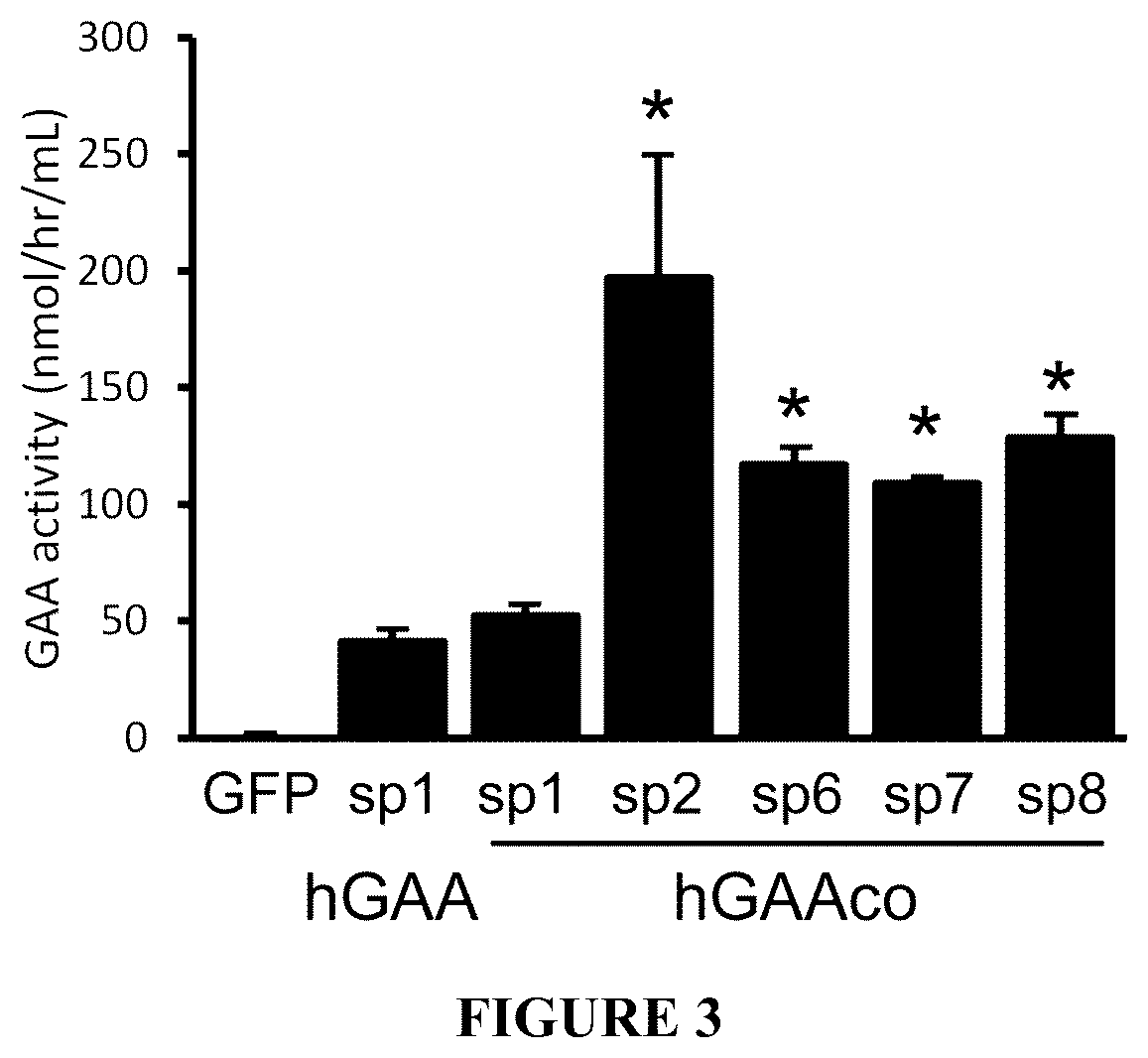 Patent US12305187 Figure 3 – Acid-alpha glucosidase variants and uses thereof