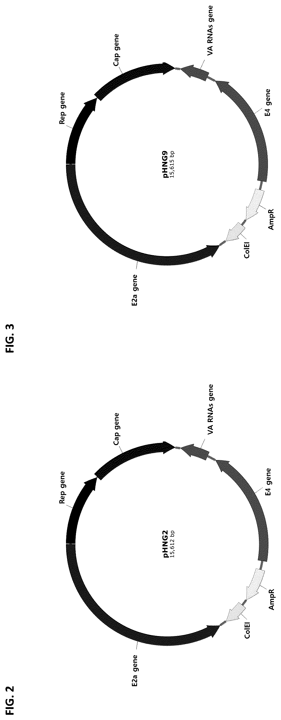 Patent US12305188 Figure 4 – Dual helper plasmid