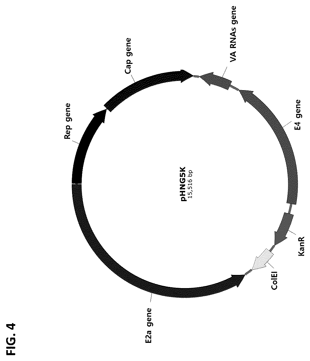 Patent US12305188 Figure 5 – Dual helper plasmid