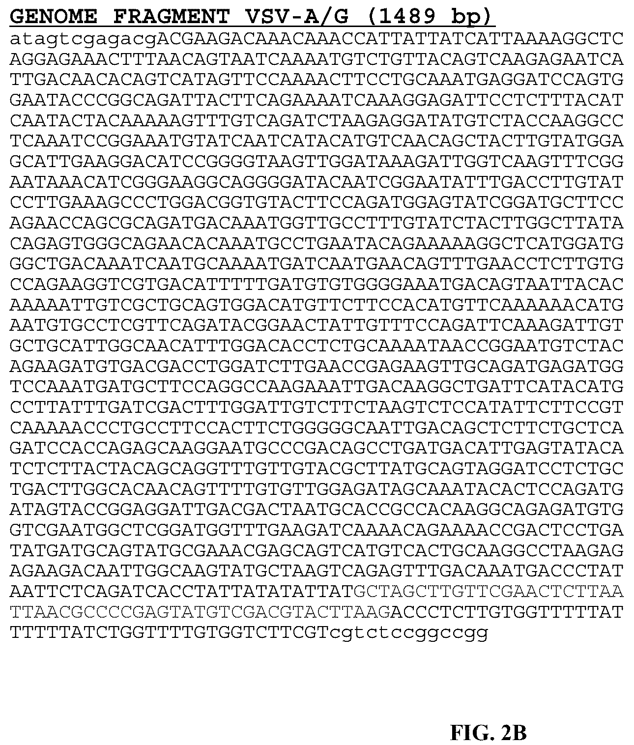 Patent US12305190 Figure 3 – Vesicular stomatitis virus and virus rescue system