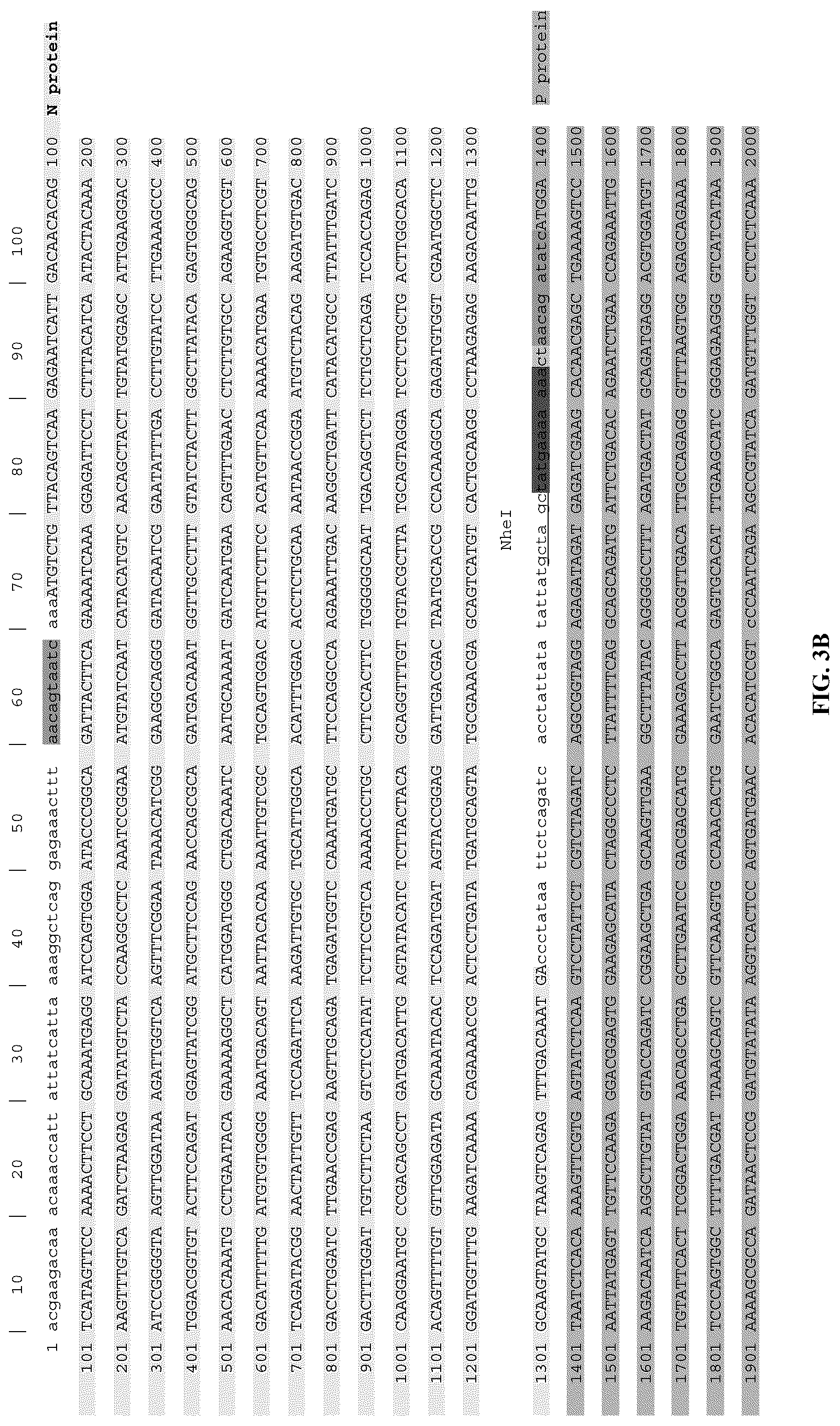 Patent US12305190 Figure 9 – Vesicular stomatitis virus and virus rescue system