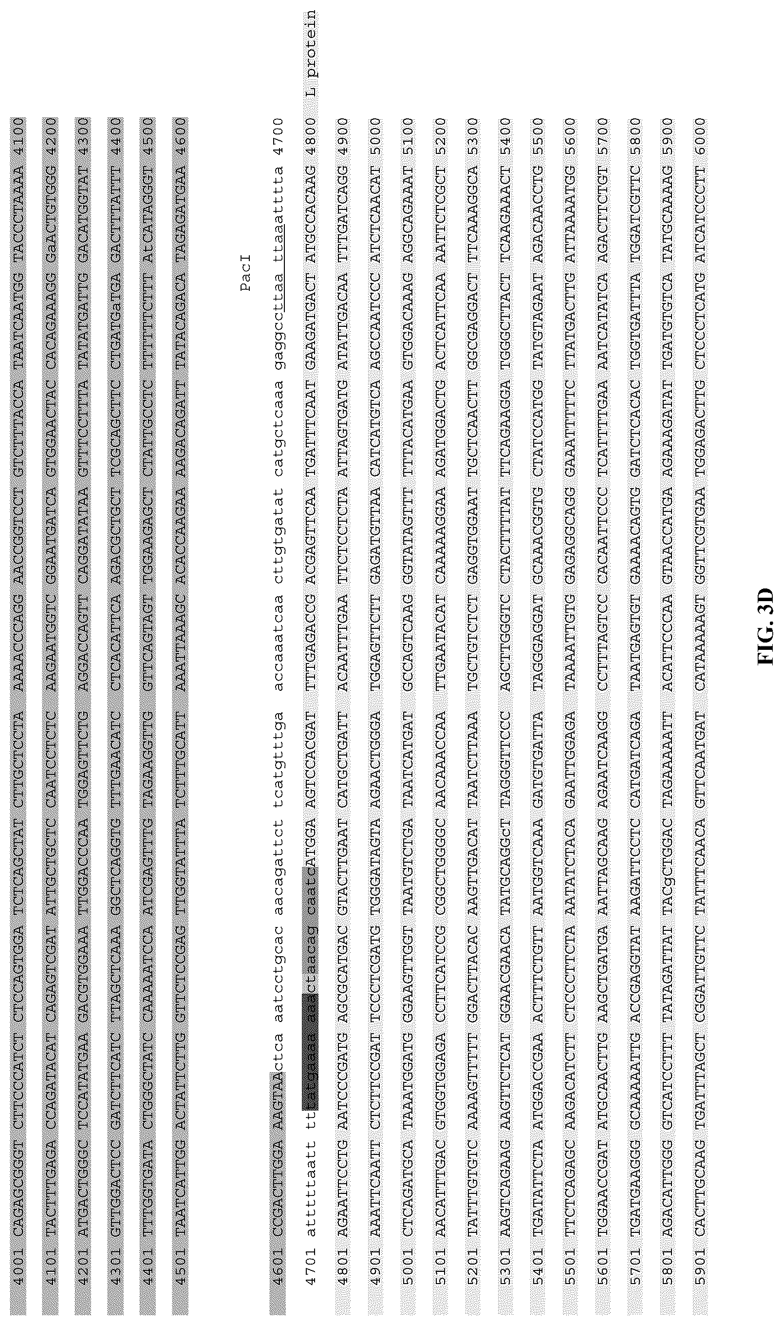 Patent US12305190 Figure 11 – Vesicular stomatitis virus and virus rescue system