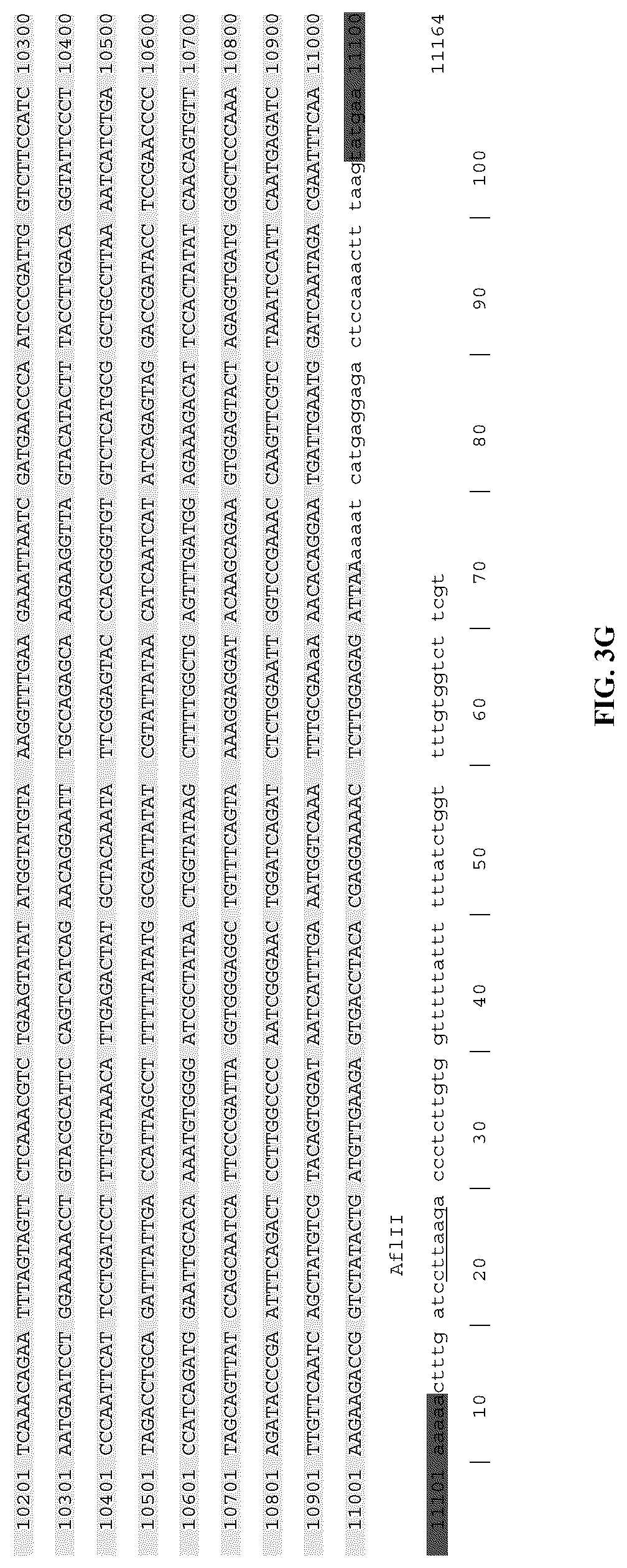 Patent US12305190 Figure 14 – Vesicular stomatitis virus and virus rescue system