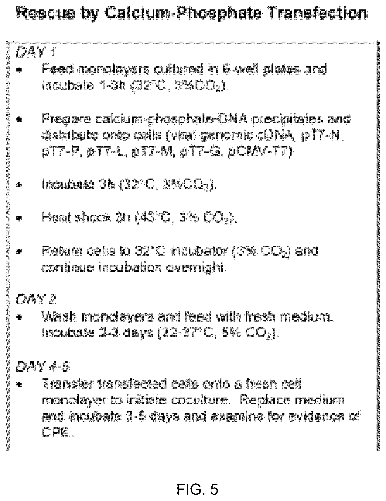 Patent US12305190 Figure 16 – Vesicular stomatitis virus and virus rescue system