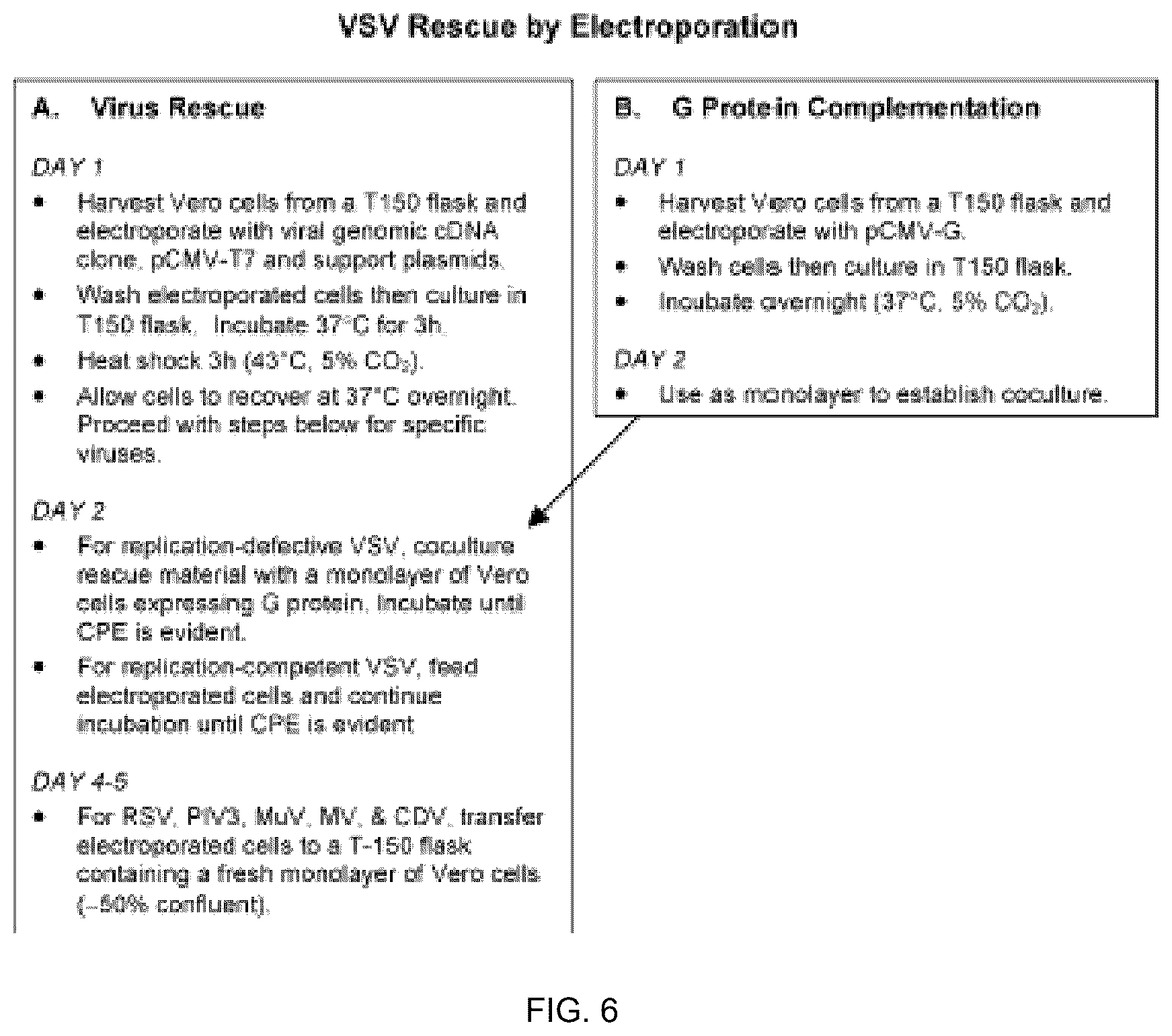 Patent US12305190 Figure 17 – Vesicular stomatitis virus and virus rescue system