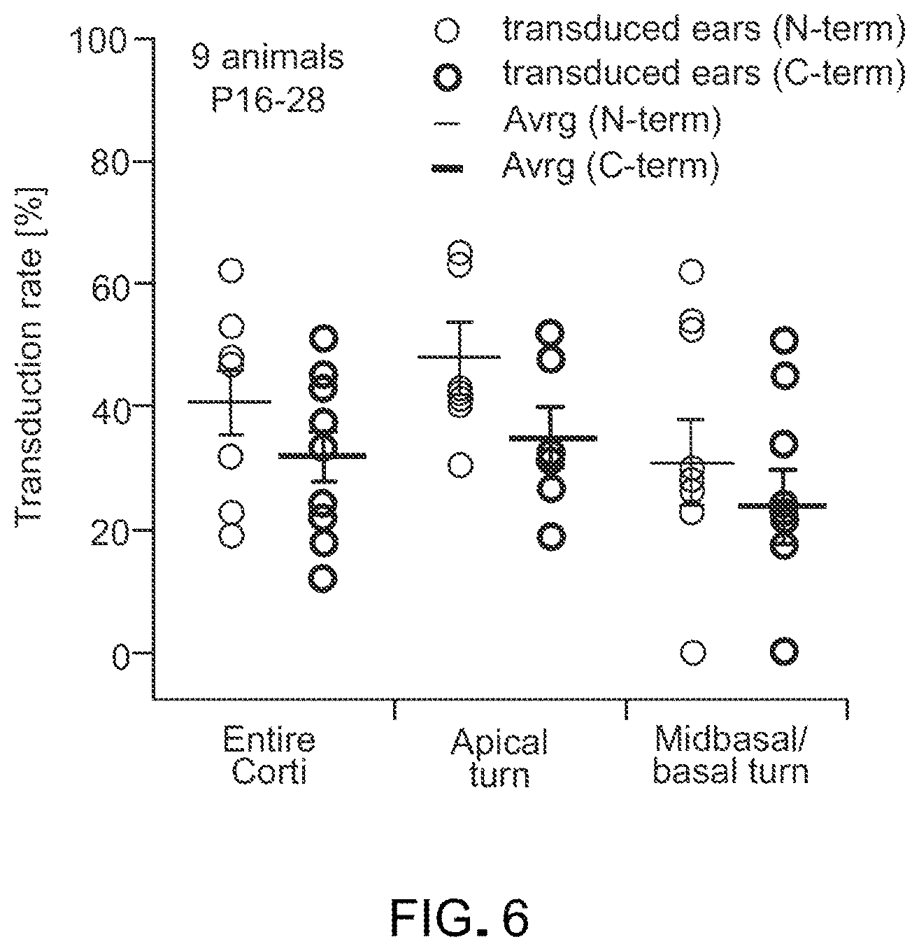 Patent US12305191 Figure 4 – Compositions and methods for treating non-age-associated hearing impairment in a human subject