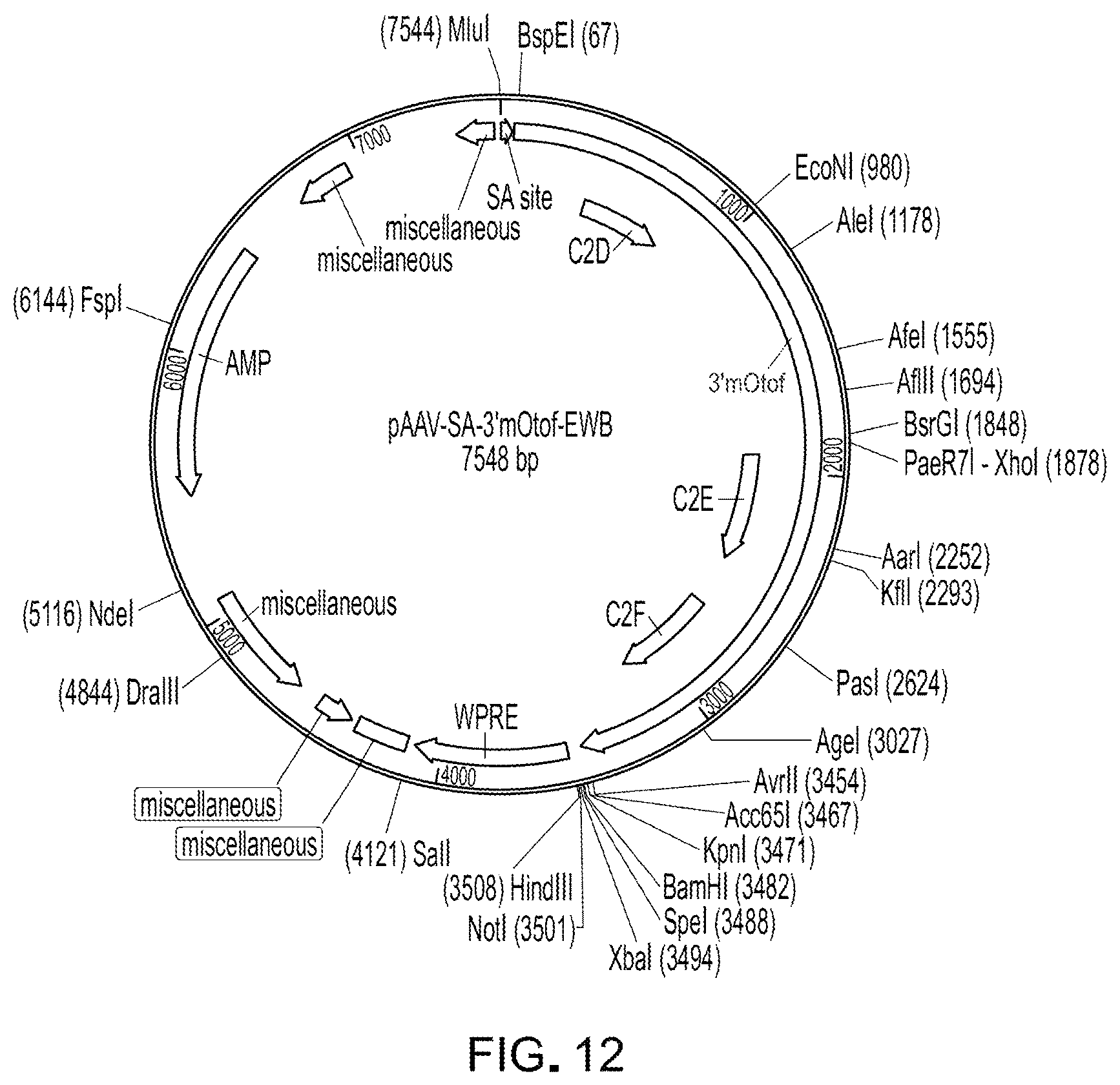 Patent US12305191 Figure 9 – Compositions and methods for treating non-age-associated hearing impairment in a human subject