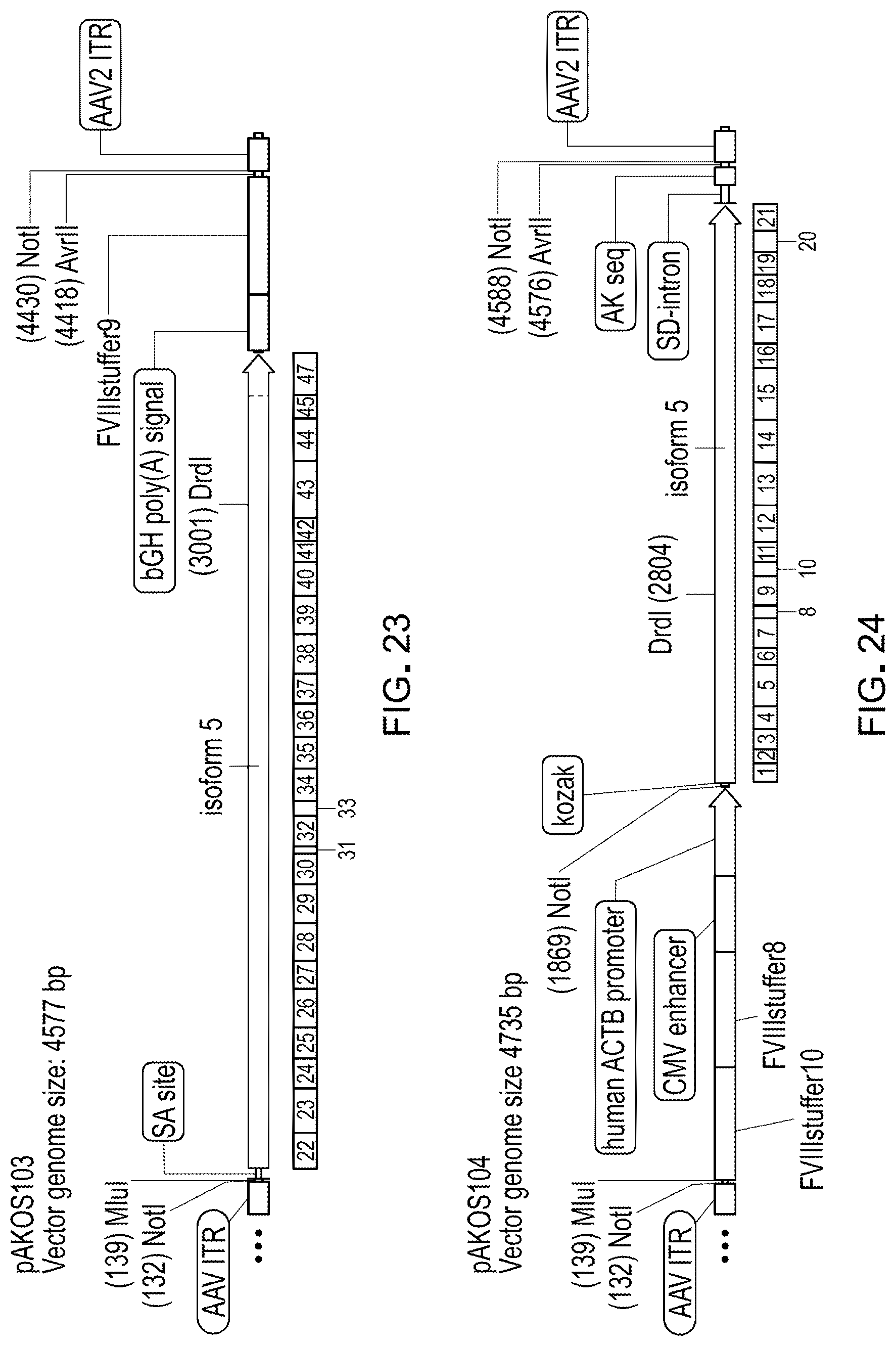 Patent US12305191 Figure 18 – Compositions and methods for treating non-age-associated hearing impairment in a human subject
