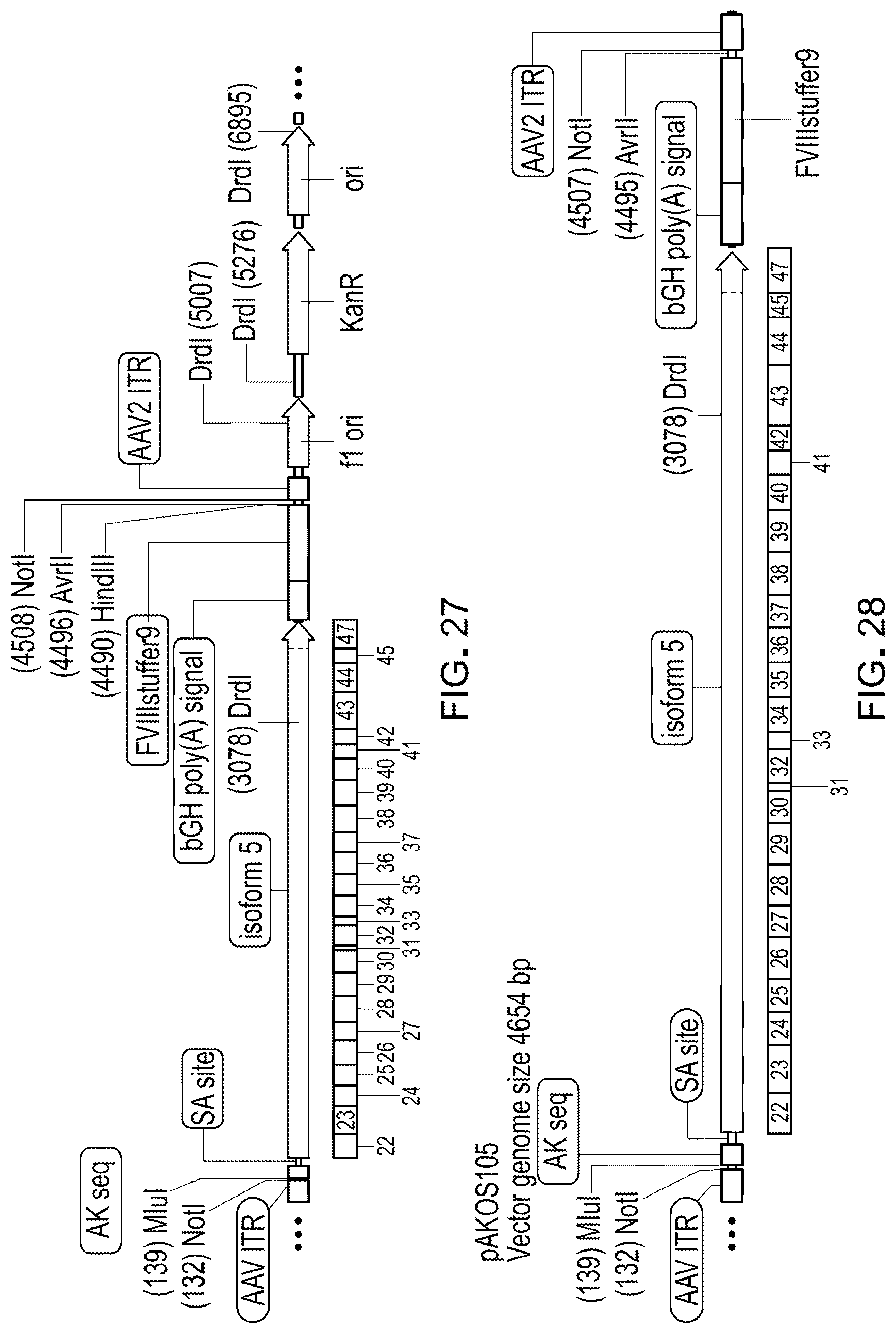 Patent US12305191 Figure 20 – Compositions and methods for treating non-age-associated hearing impairment in a human subject