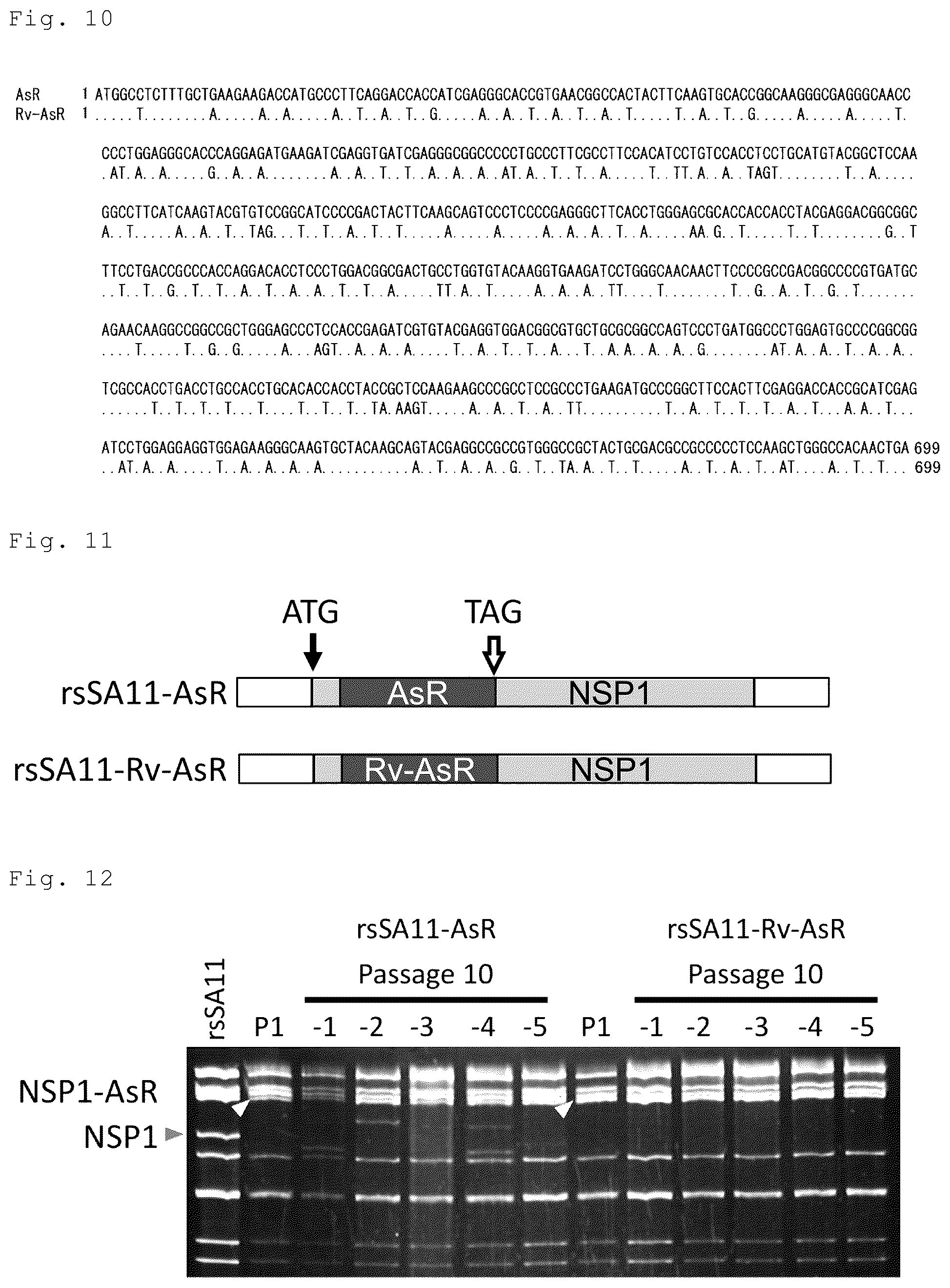 Patent US12305192 Figure 6 – Method for producing artificial recombinant RNA virus stably retaining foreign gene