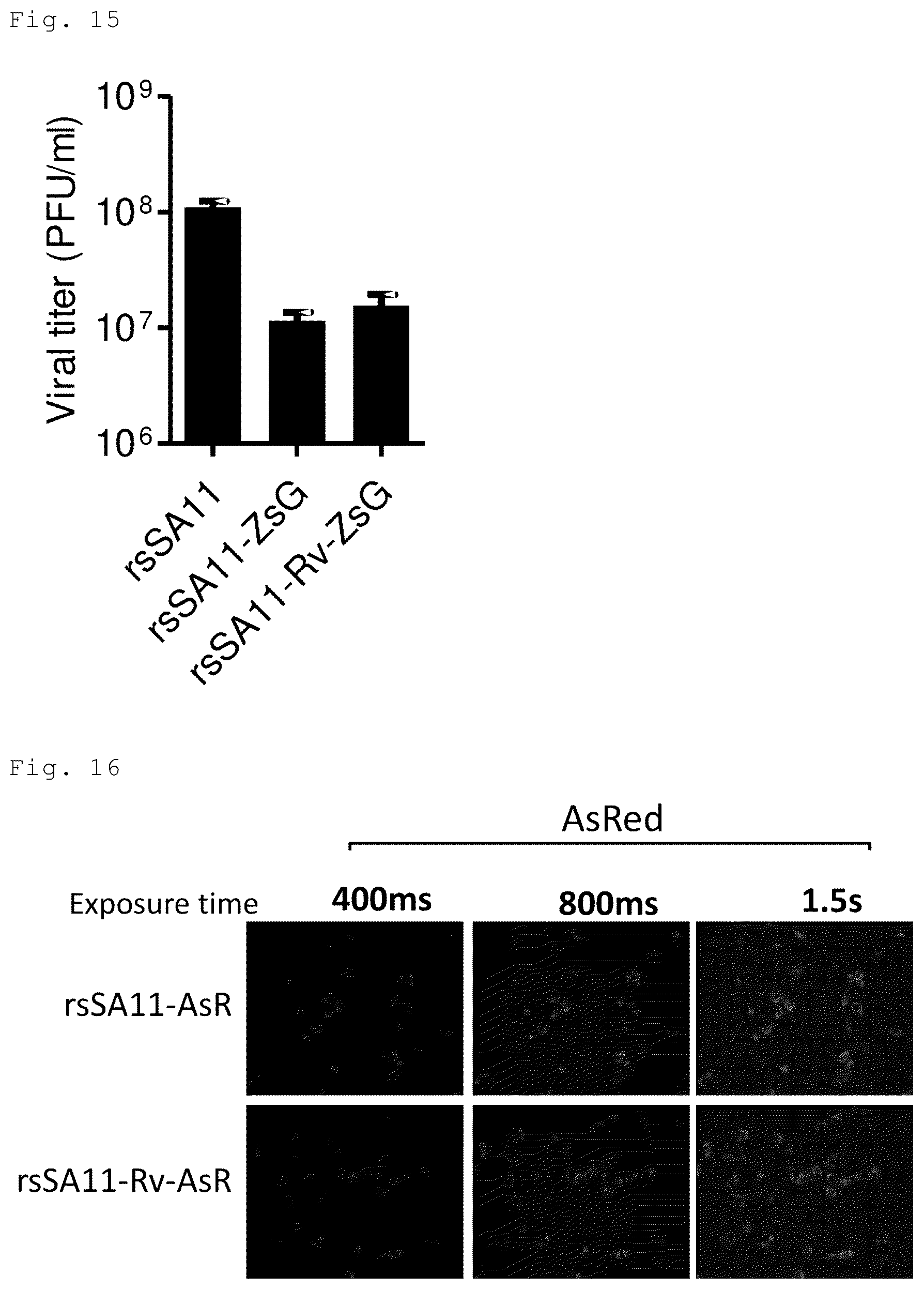 Patent US12305192 Figure 8 – Method for producing artificial recombinant RNA virus stably retaining foreign gene