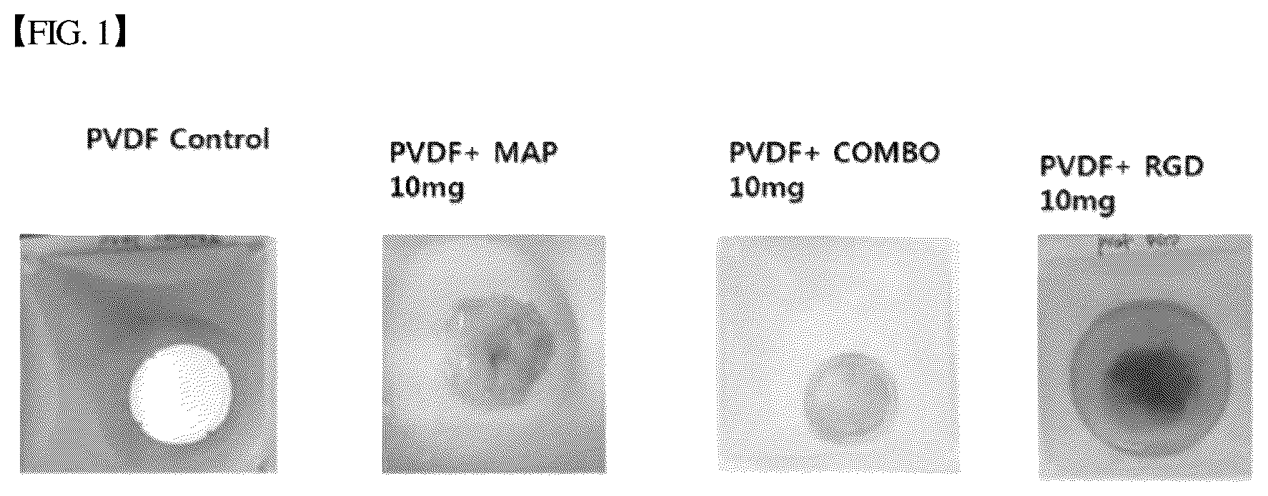 Patent US12305193 Figure 1 – Three-dimensional micro-environment structure for controlling cell behavior, three-dimensional surface for controlling cell behavior, and method for manufacturing array and three-dimensional micro-environment structure
