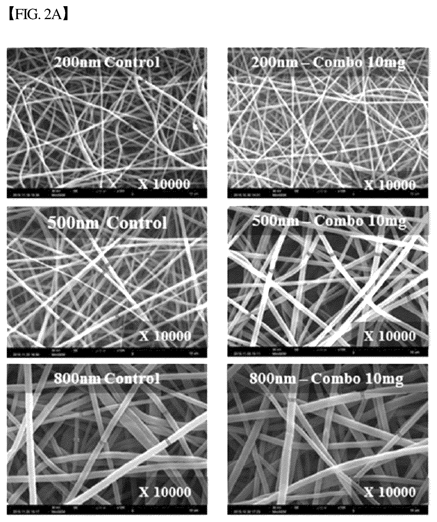 Patent US12305193 Figure 2 – Three-dimensional micro-environment structure for controlling cell behavior, three-dimensional surface for controlling cell behavior, and method for manufacturing array and three-dimensional micro-environment structure